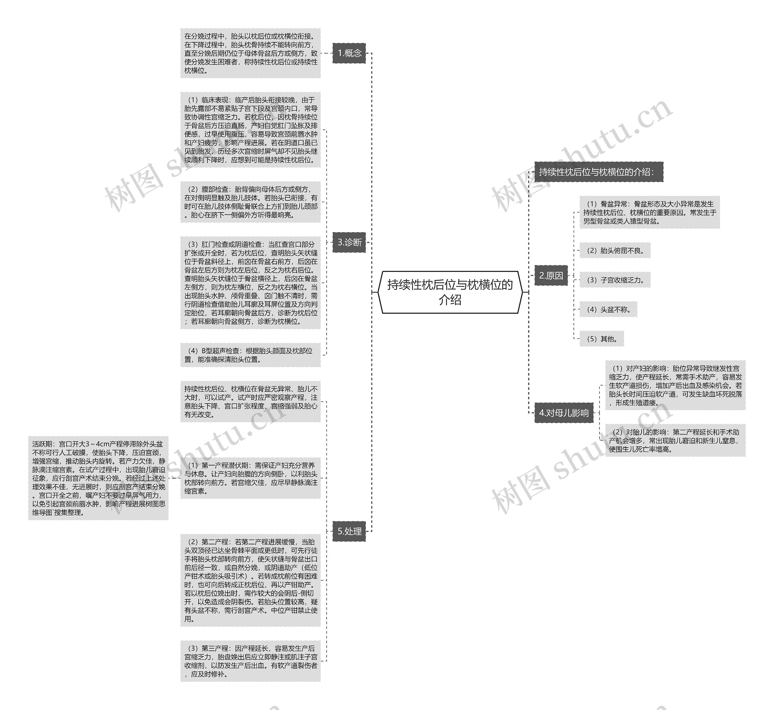 持续性枕后位与枕横位的介绍 持续性枕后位与枕横位的介绍