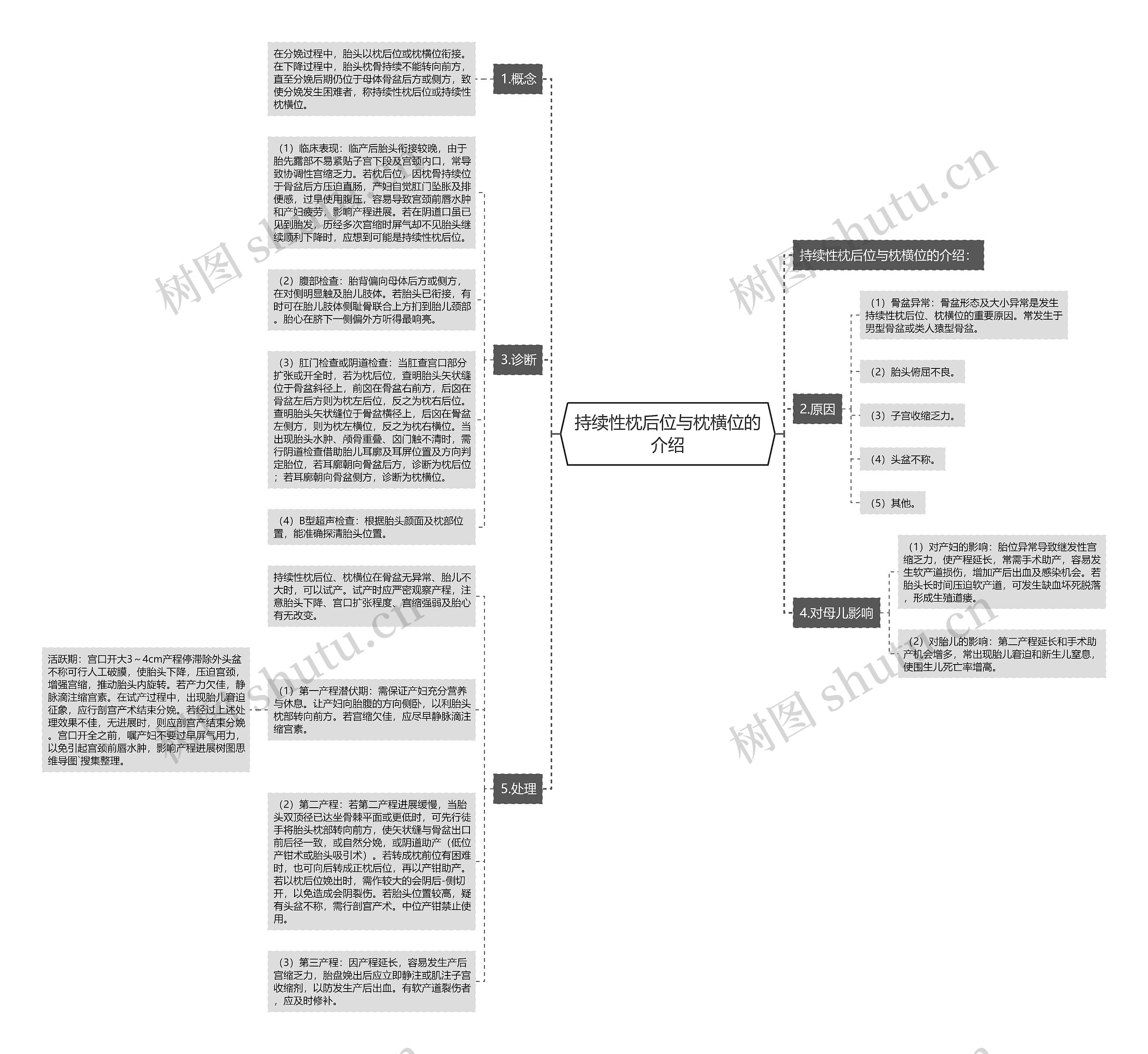 持续性枕后位与枕横位的介绍思维导图
