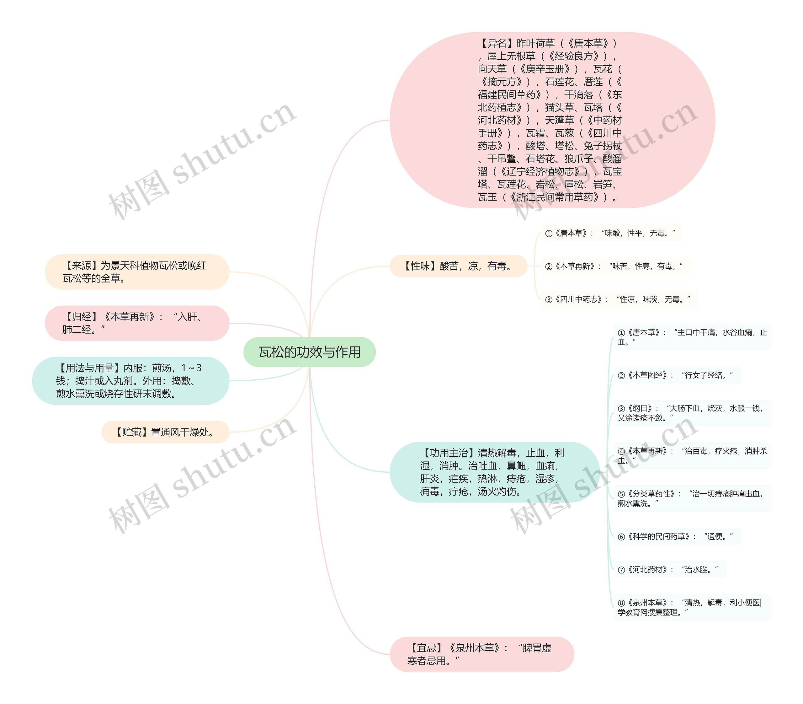 瓦松的功效与作用 瓦松的功效与作用