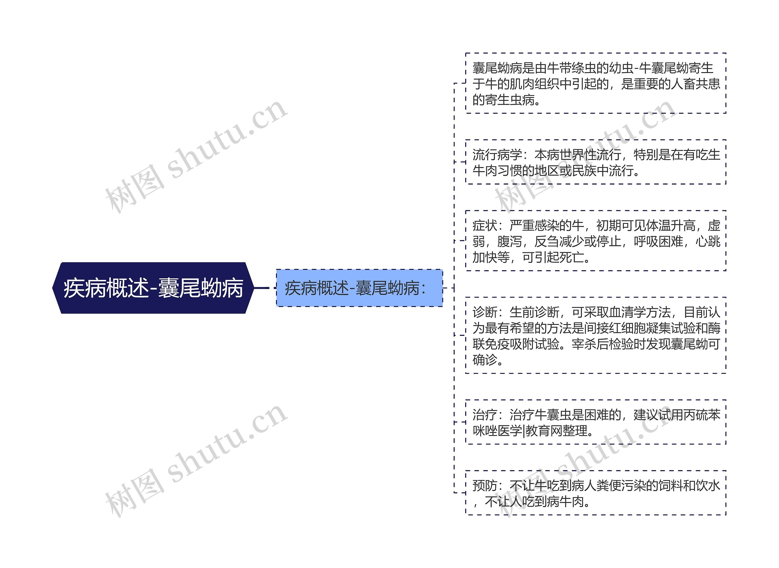 疾病概述-囊尾蚴病思维导图