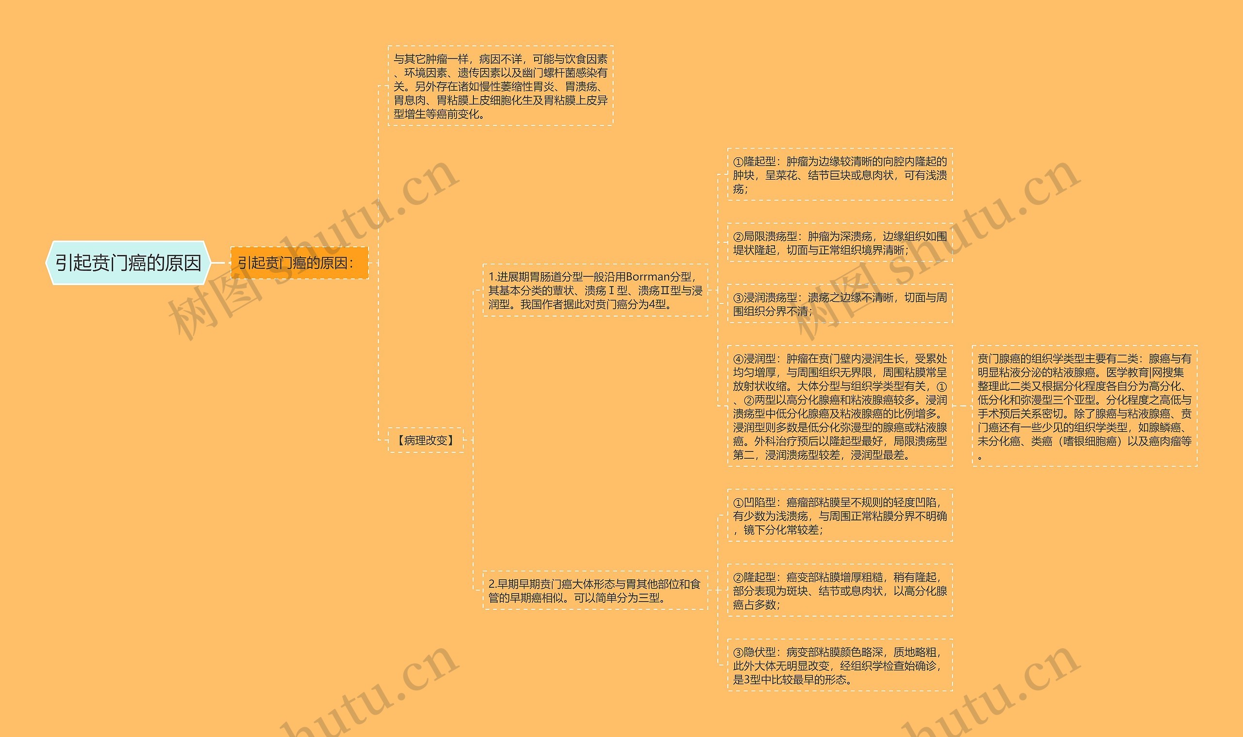 引起贲门癌的原因思维导图