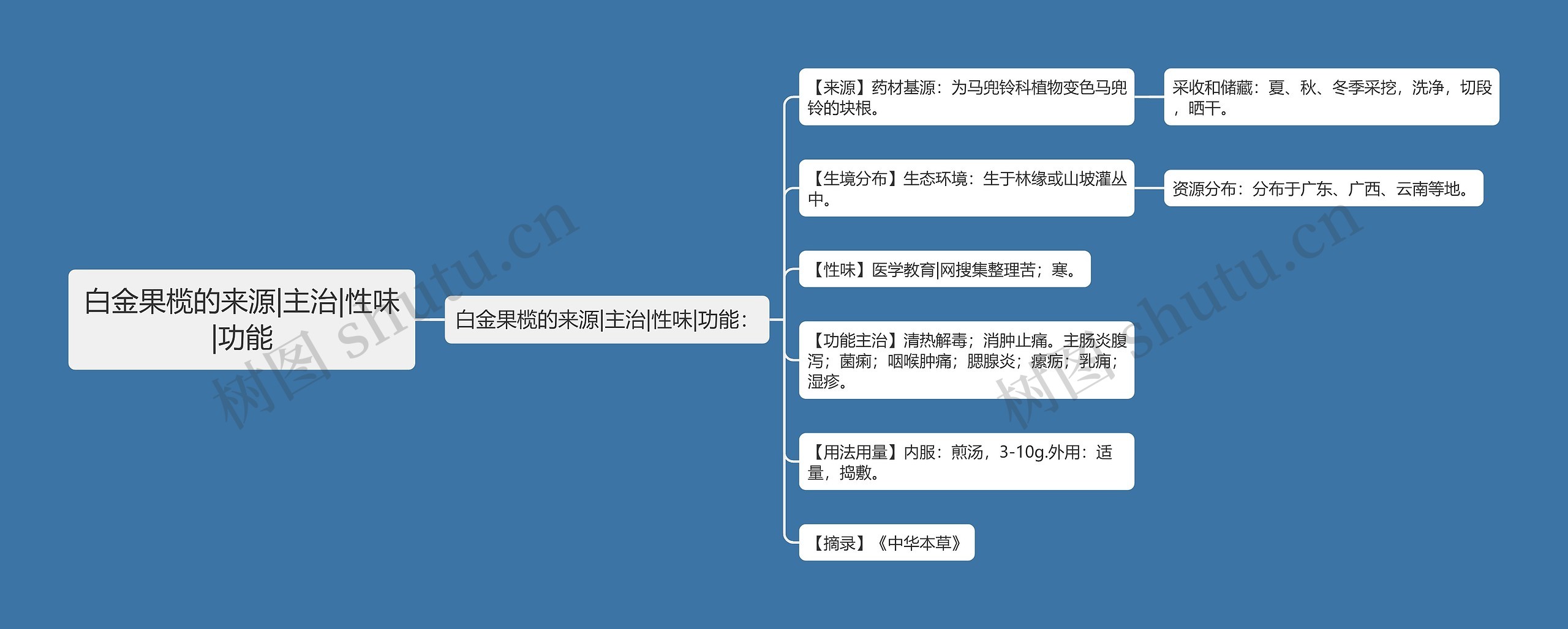 白金果榄的来源|主治|性味|功能 白金果榄的来源|主治|性味|功能