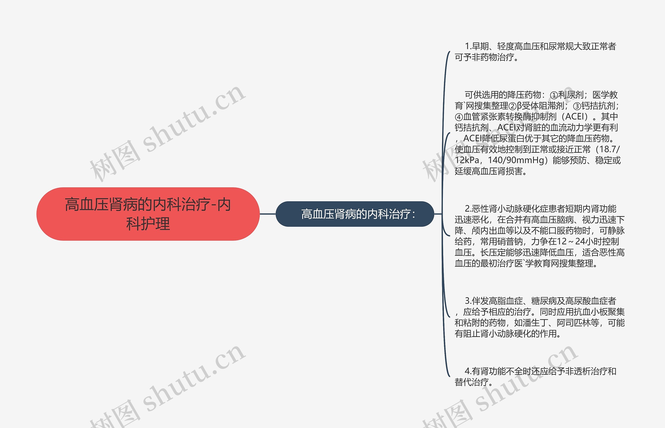 高血压肾病的内科治疗-内科护理思维导图