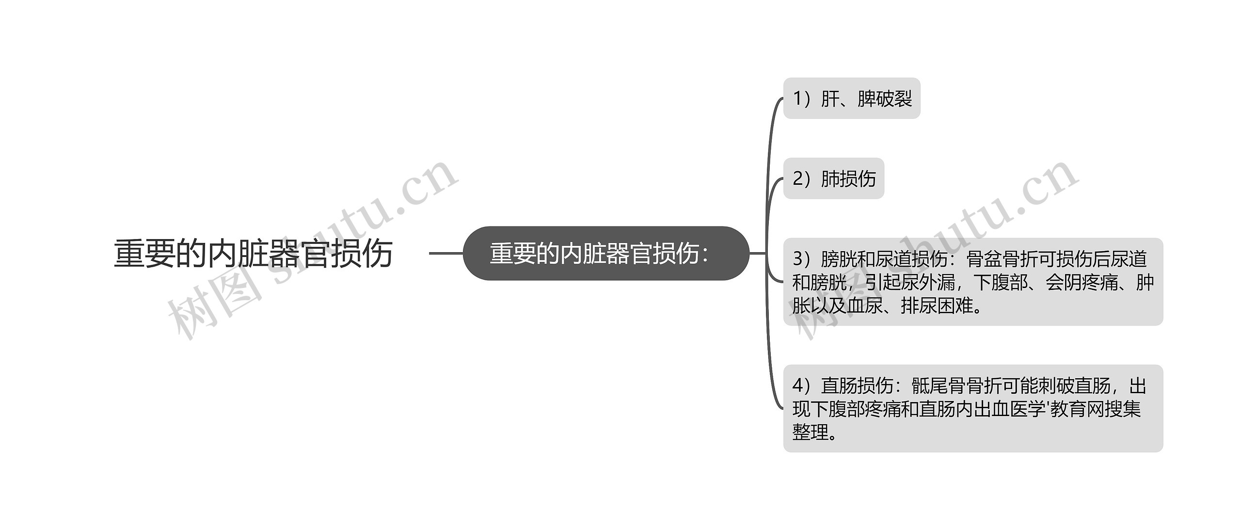 重要的内脏器官损伤思维导图