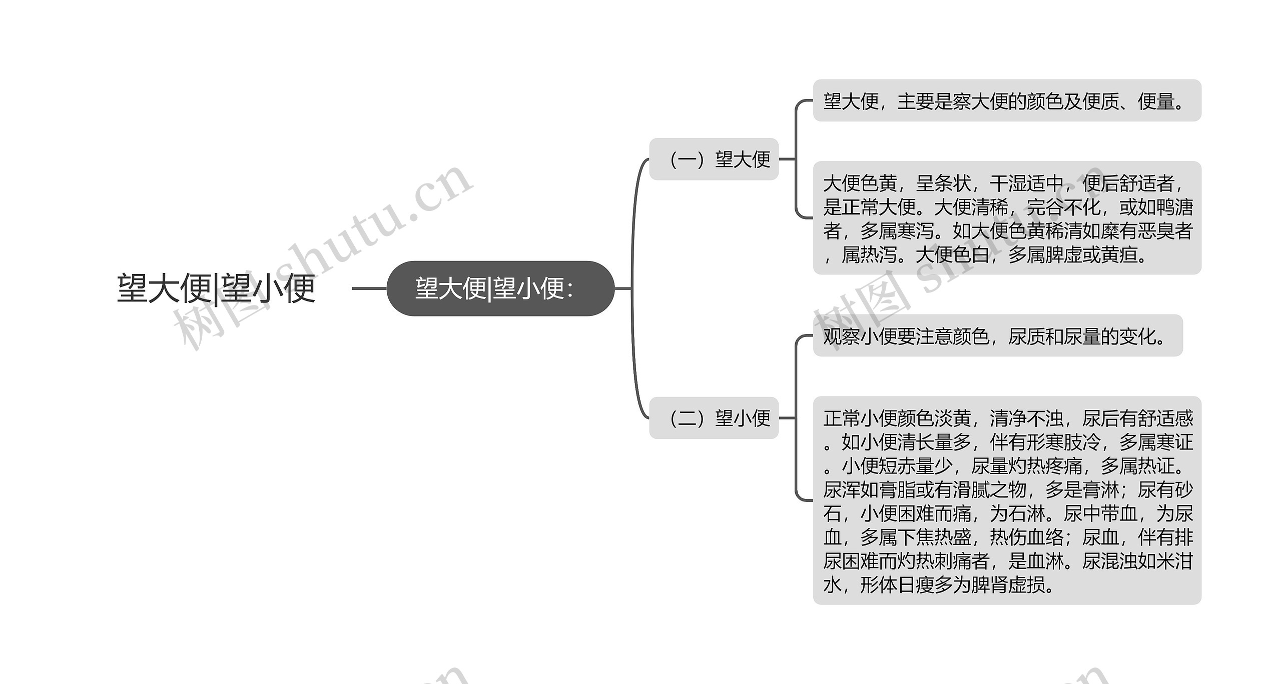 望大便|望小便思维导图