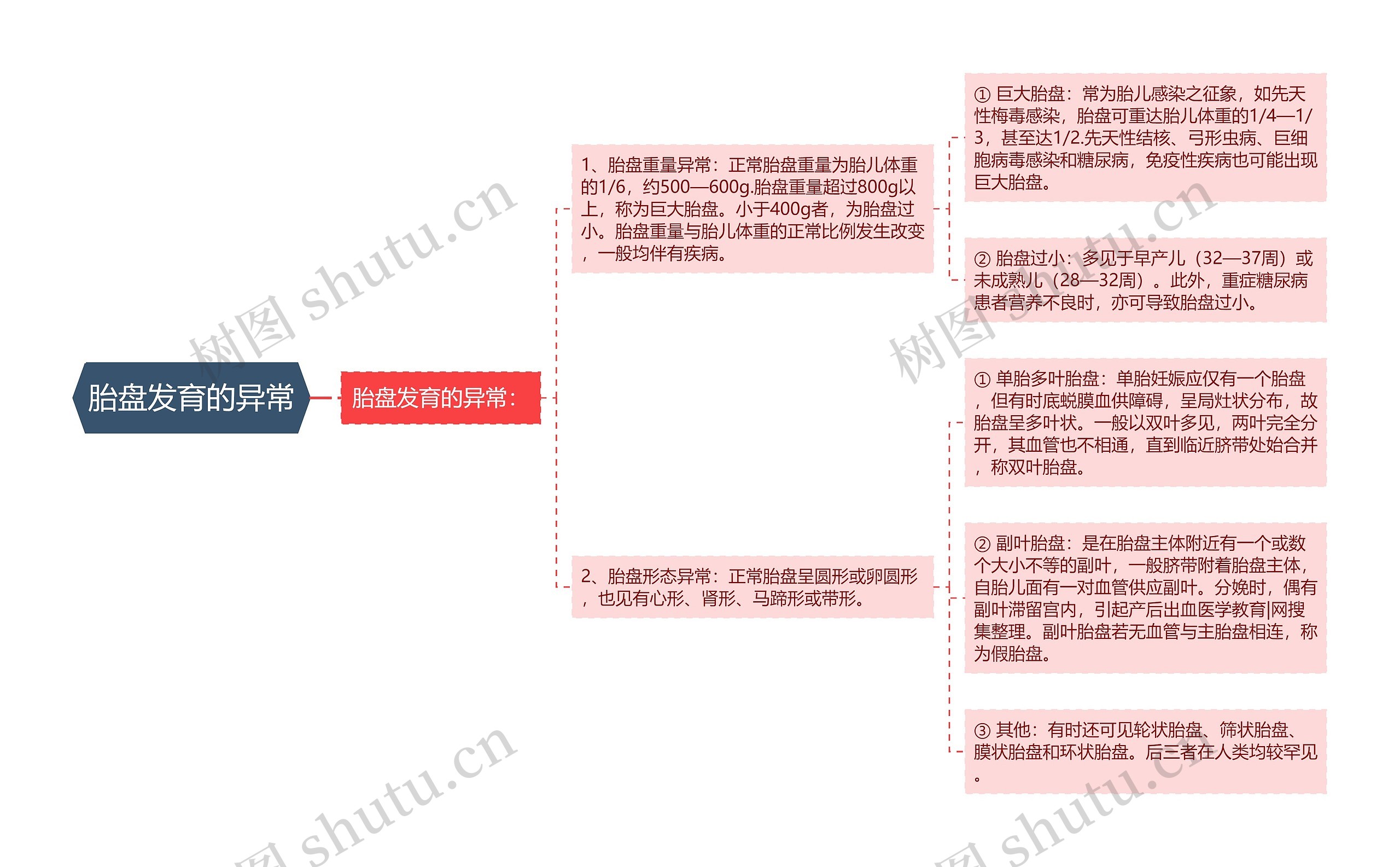 胎盘发育的异常