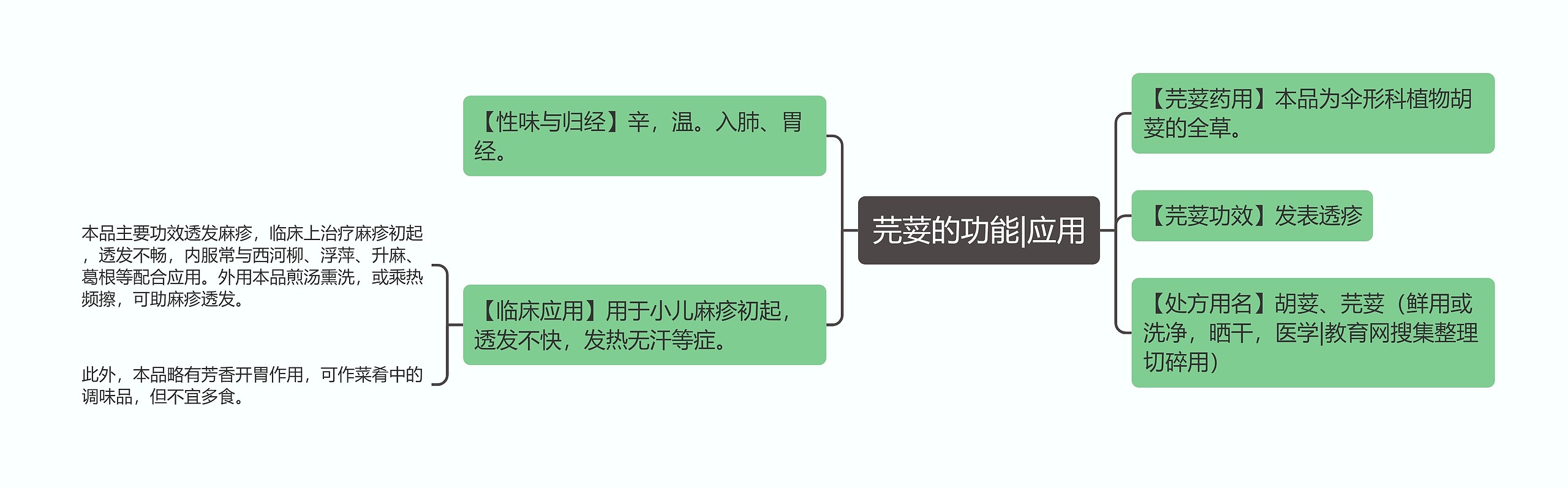 芫荽的功能|应用思维导图