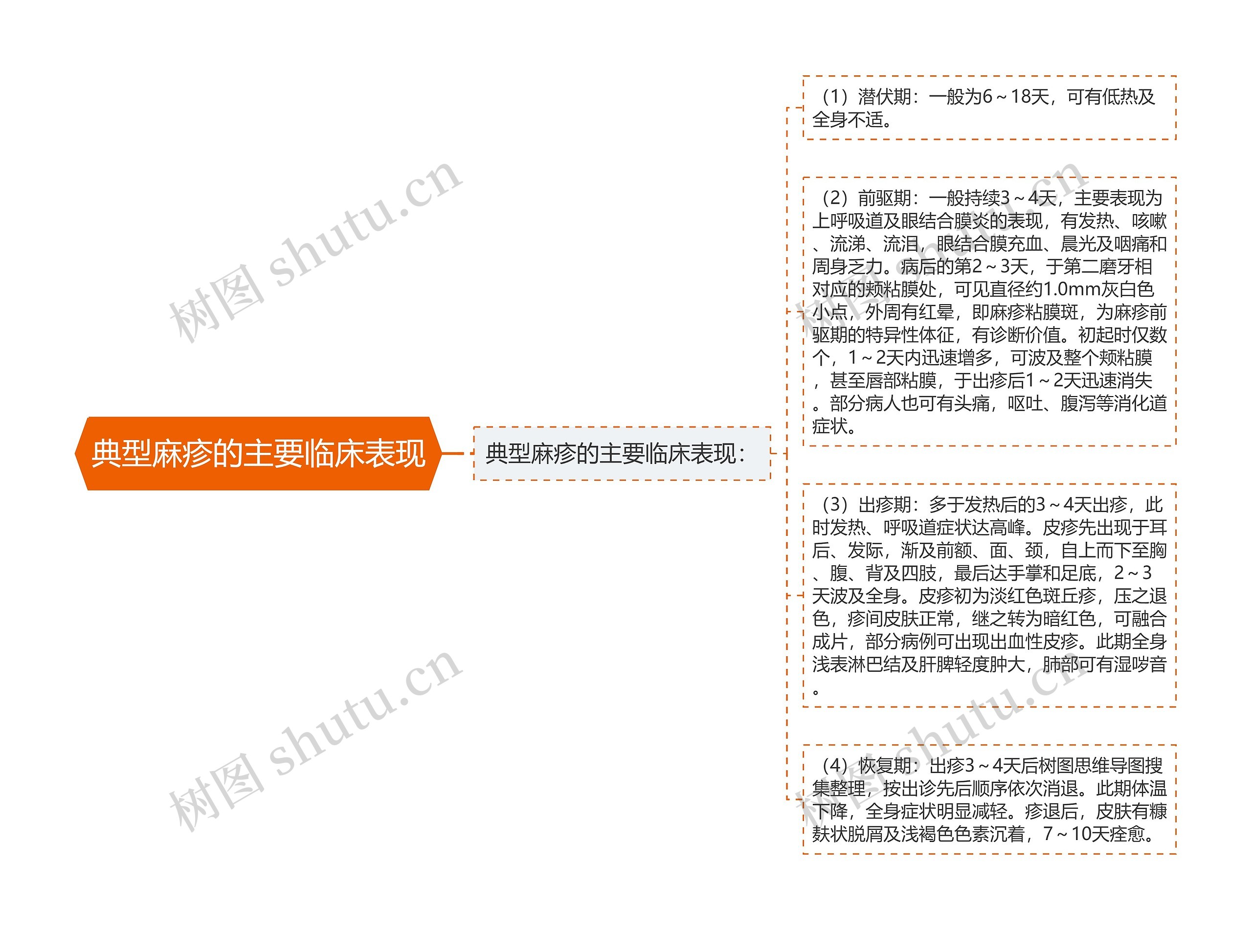 典型麻疹的主要临床表现思维导图