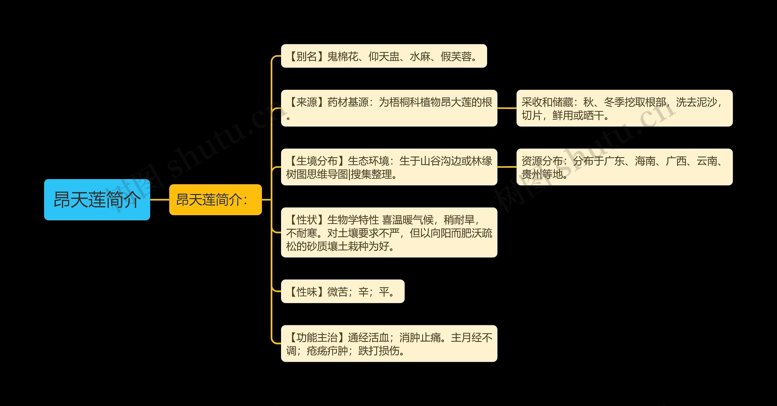 昂天莲简介思维导图