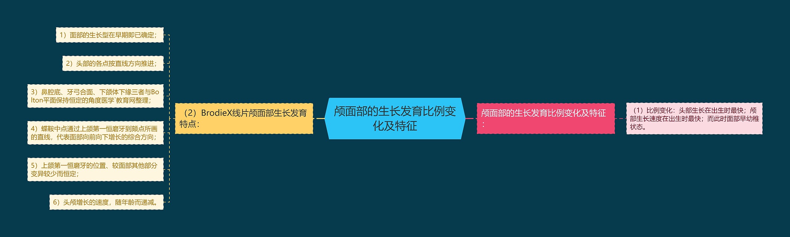 颅面部的生长发育比例变化及特征