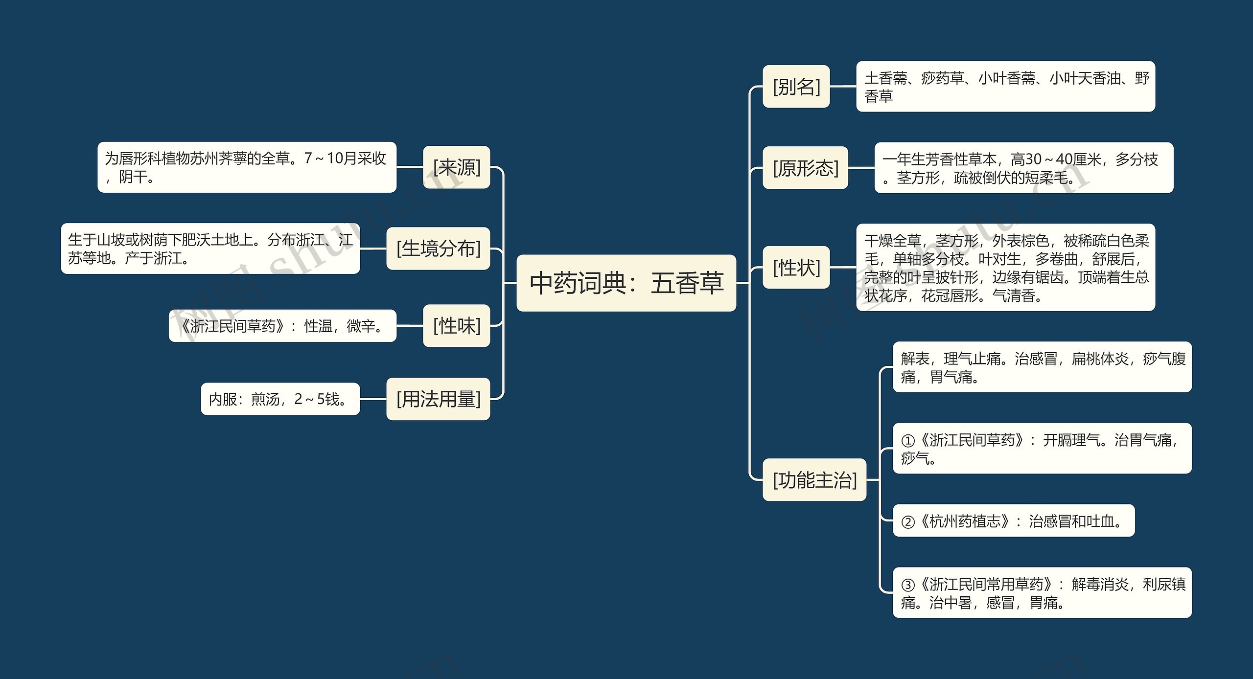 中药词典：五香草思维导图