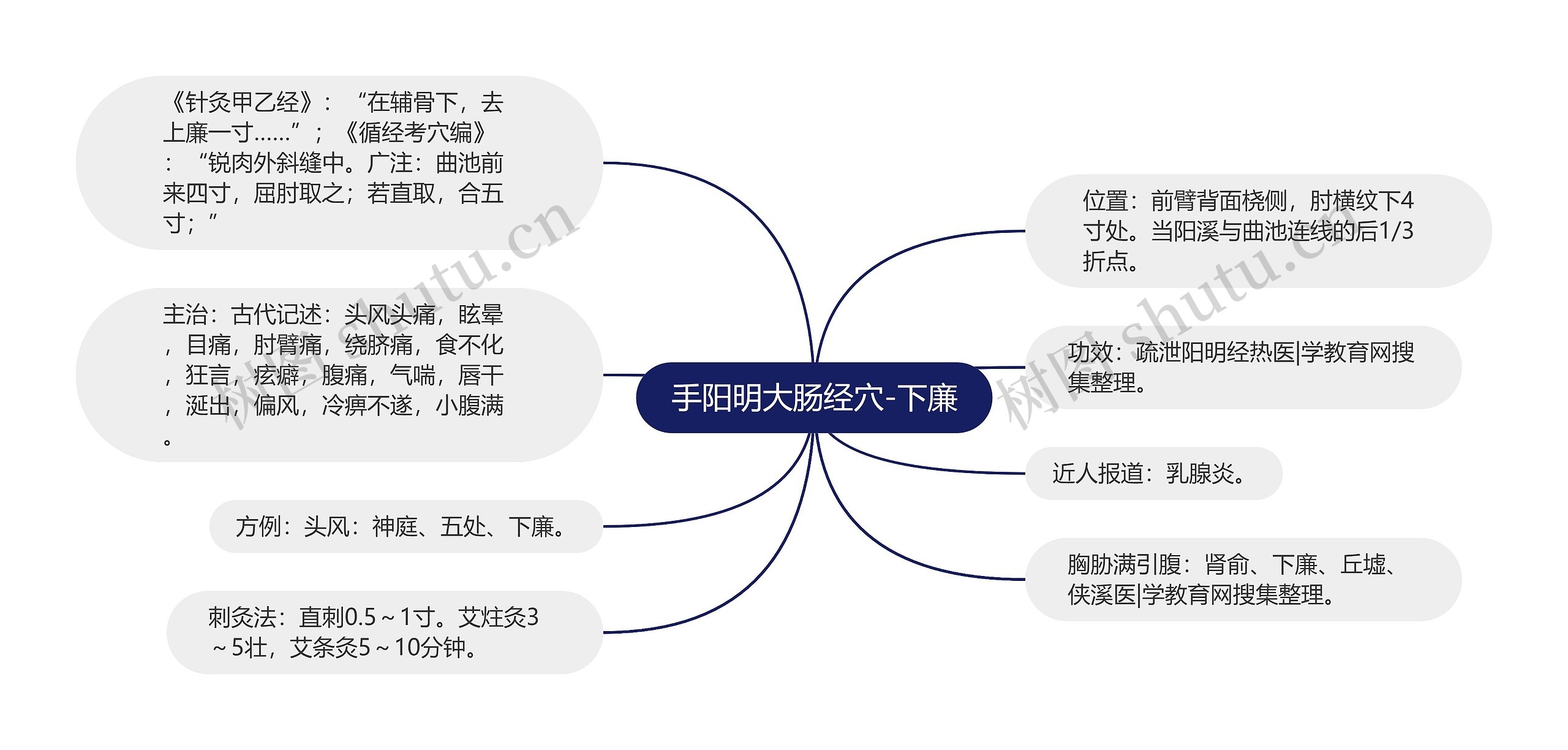 手阳明大肠经穴-下廉思维导图