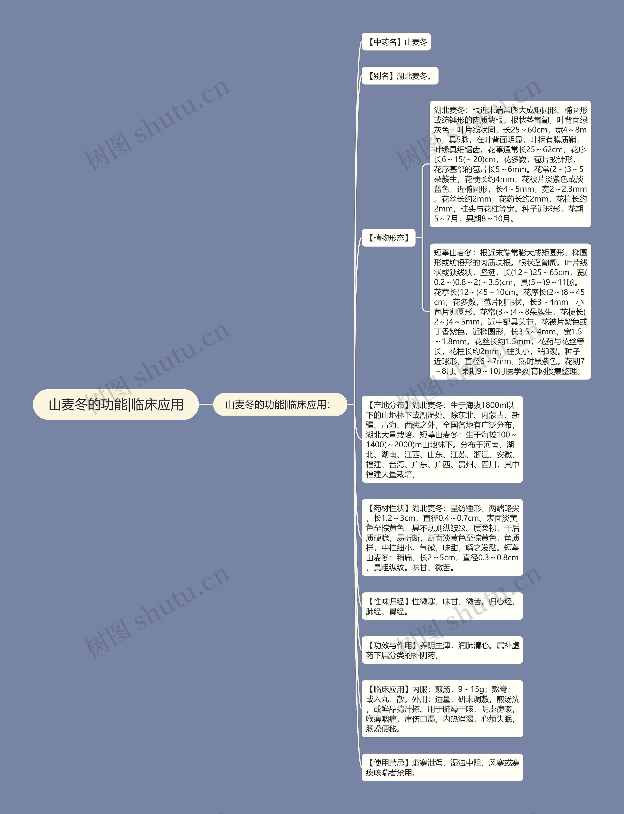 山麦冬的功能|临床应用思维导图高清图 山麦冬的功能|临床应用思维导图