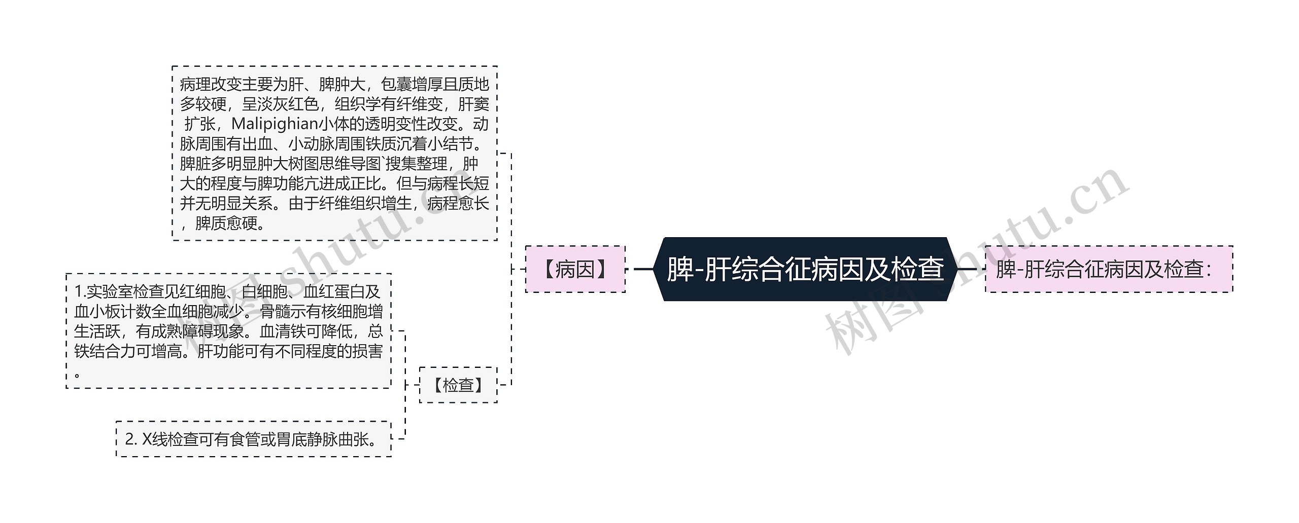 脾-肝综合征病因及检查思维导图