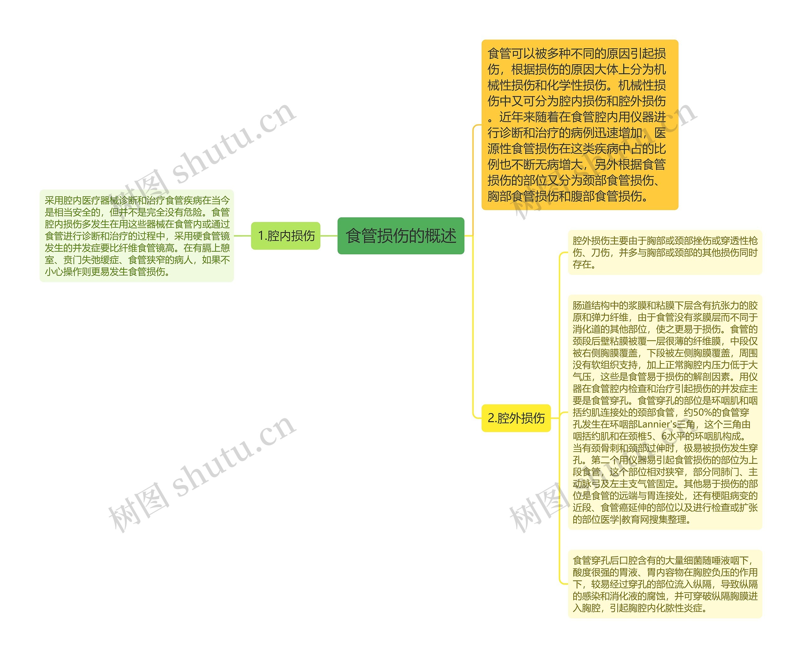 食管损伤的概述 食管损伤的概述