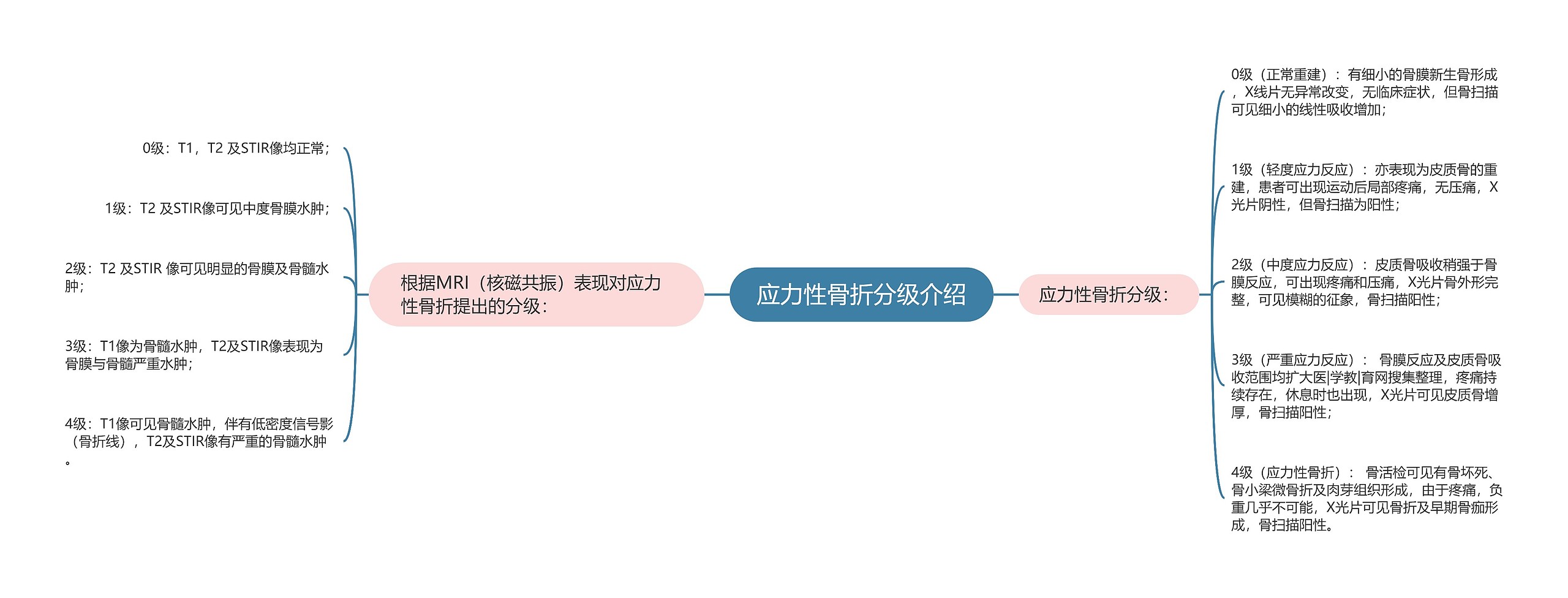 应力性骨折分级介绍 应力性骨折分级介绍