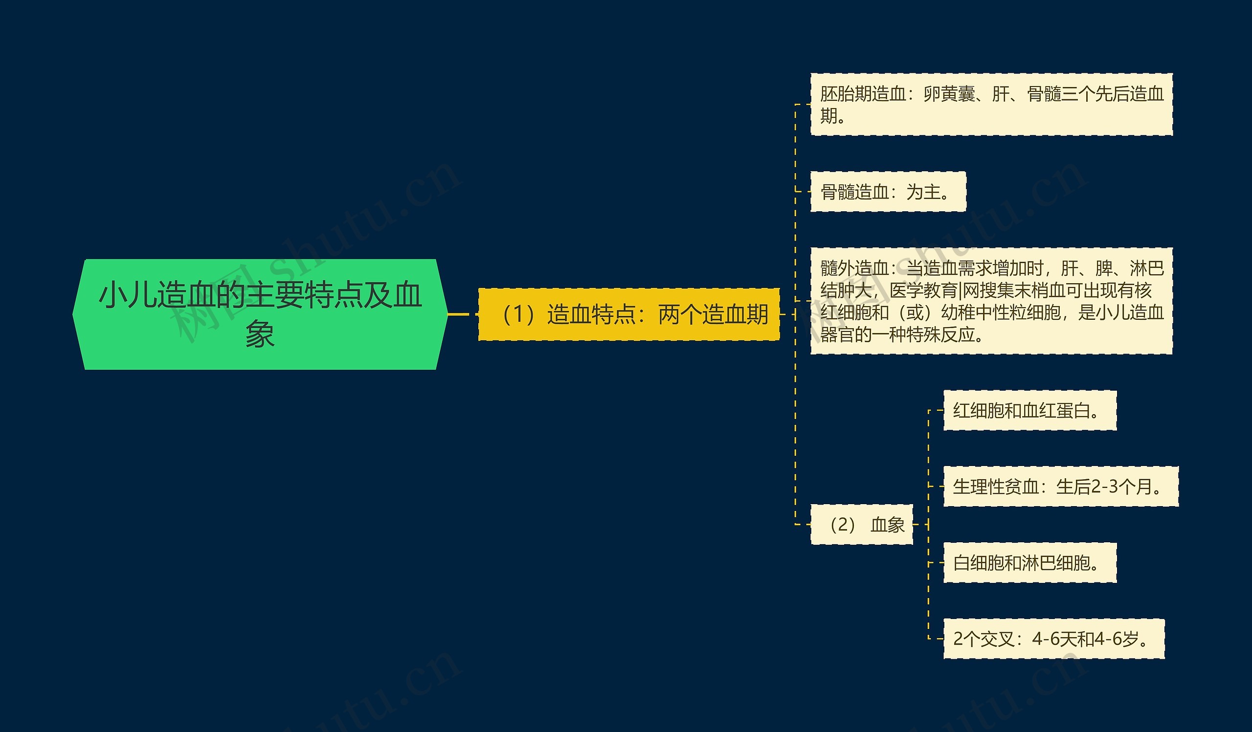 小儿造血的主要特点及血象思维导图