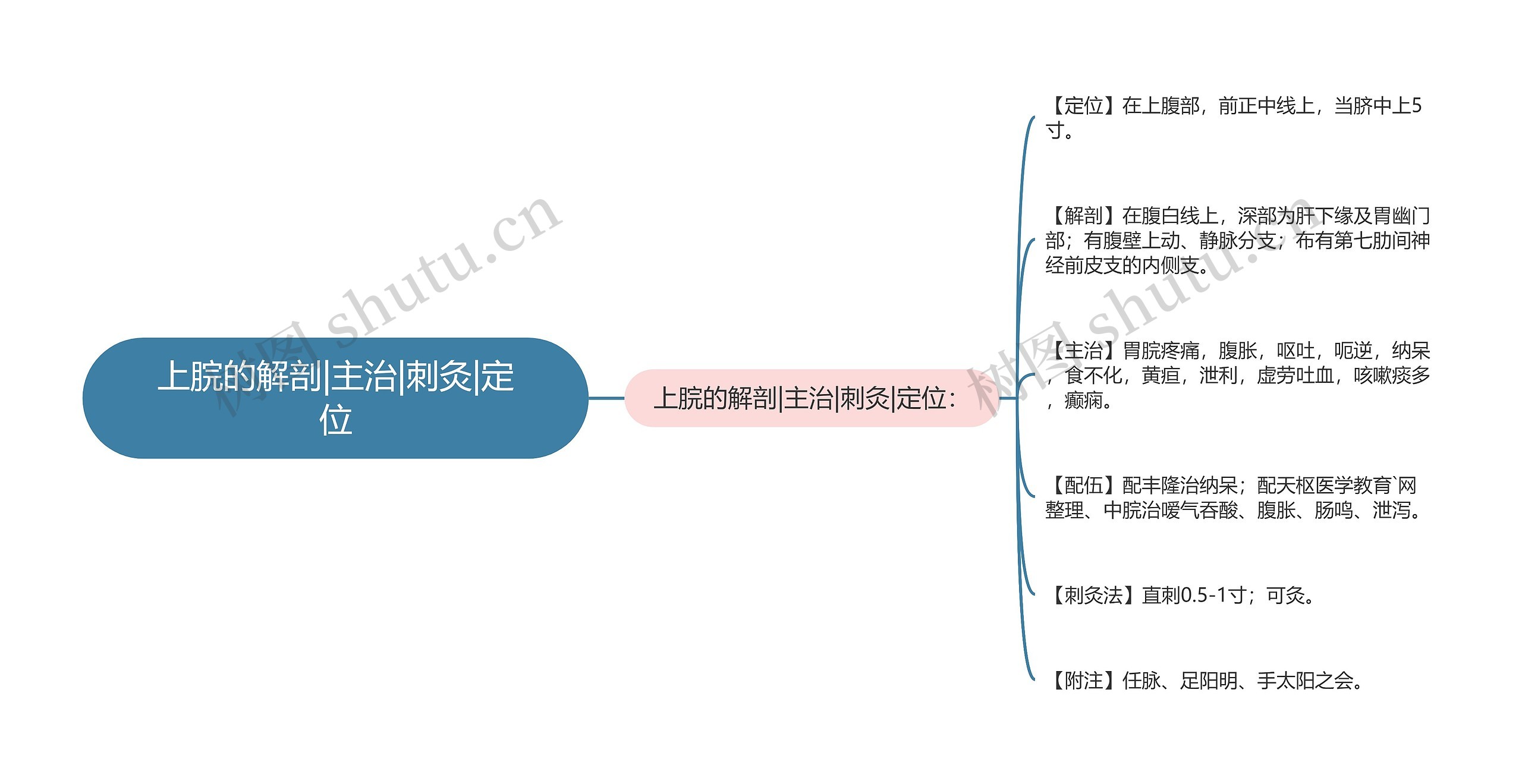 上脘的解剖|主治|刺灸|定位