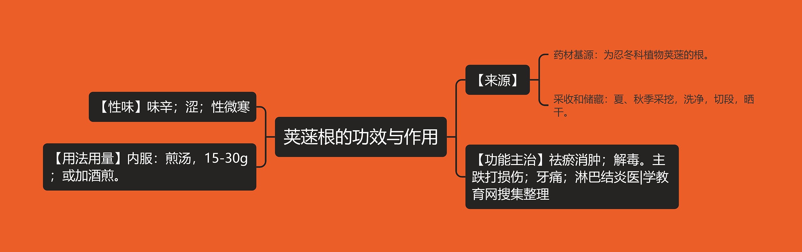 荚蒾根的功效与作用 荚蒾根的功效与作用