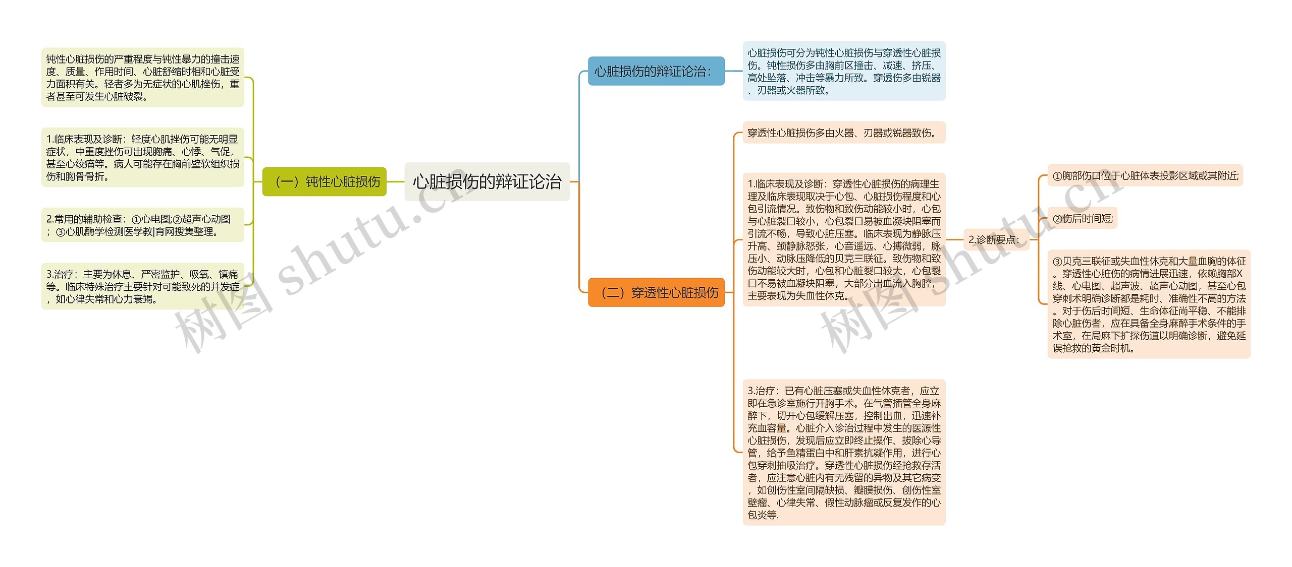 心脏损伤的辩证论治思维导图