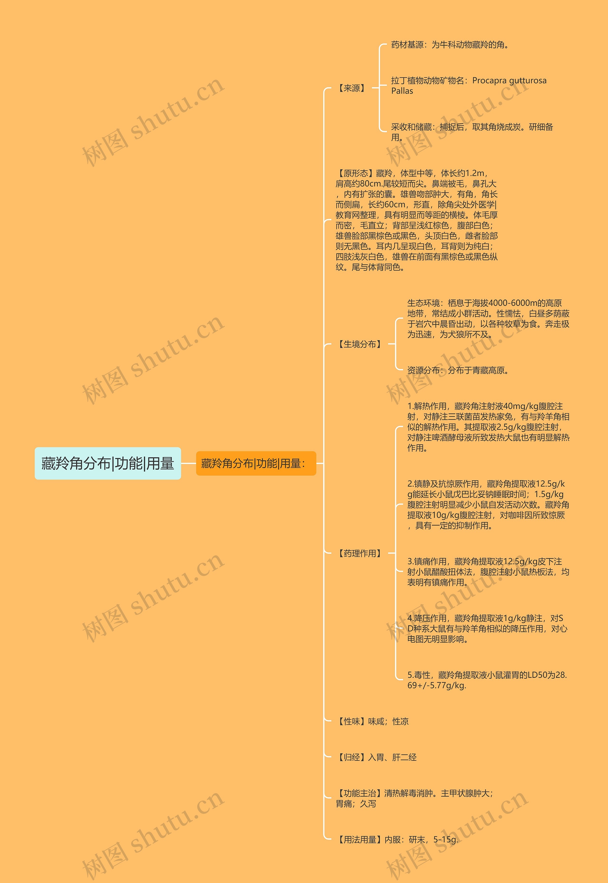 藏羚角分布|功能|用量思维导图