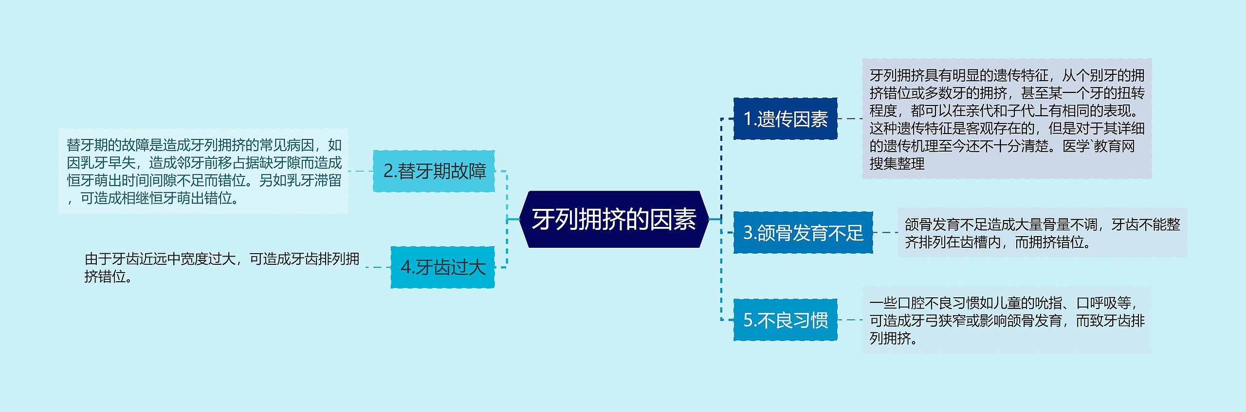 牙列拥挤的因素