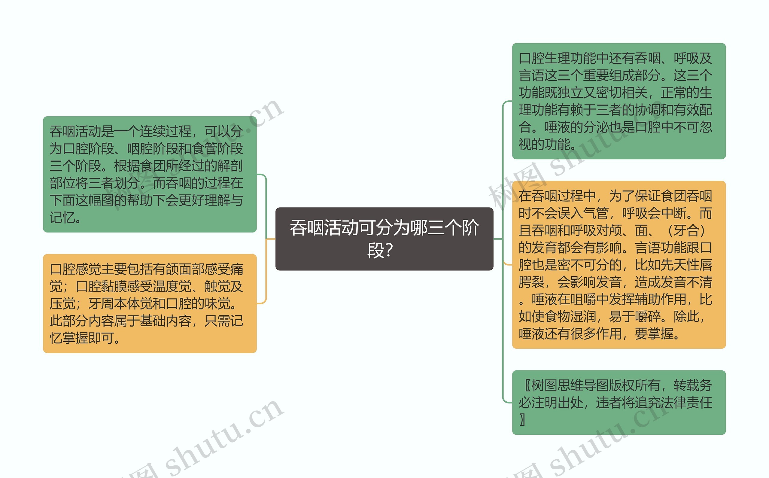 吞咽活动可分为哪三个阶段？