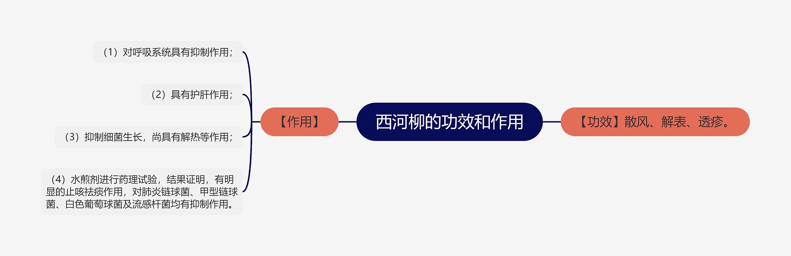 西河柳的功效和作用思维导图