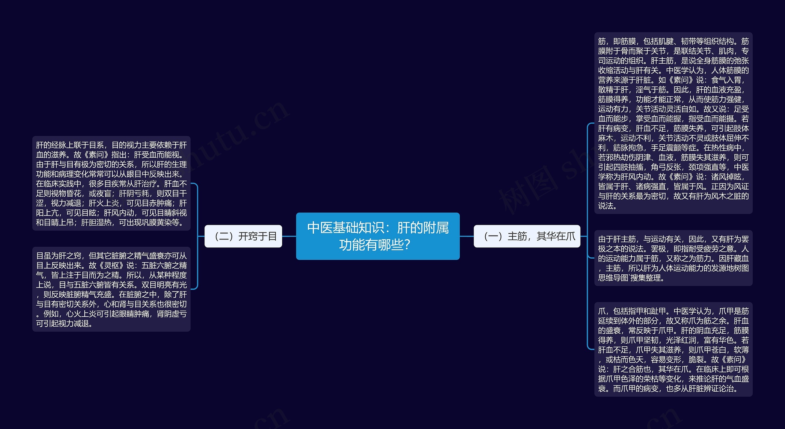 中医基础知识：肝的附属功能有哪些？思维导图