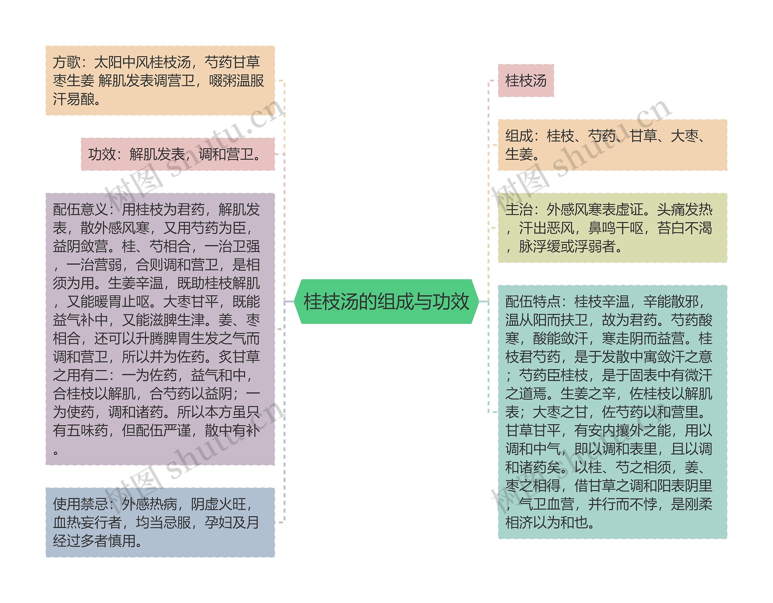 桂枝汤的组成与功效思维导图