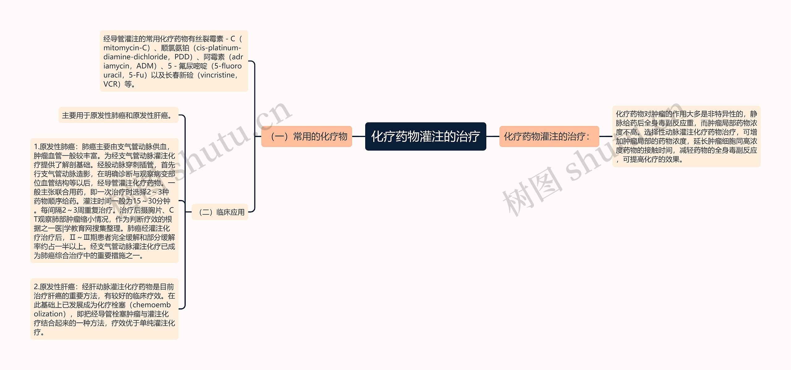 化疗药物灌注的治疗思维导图