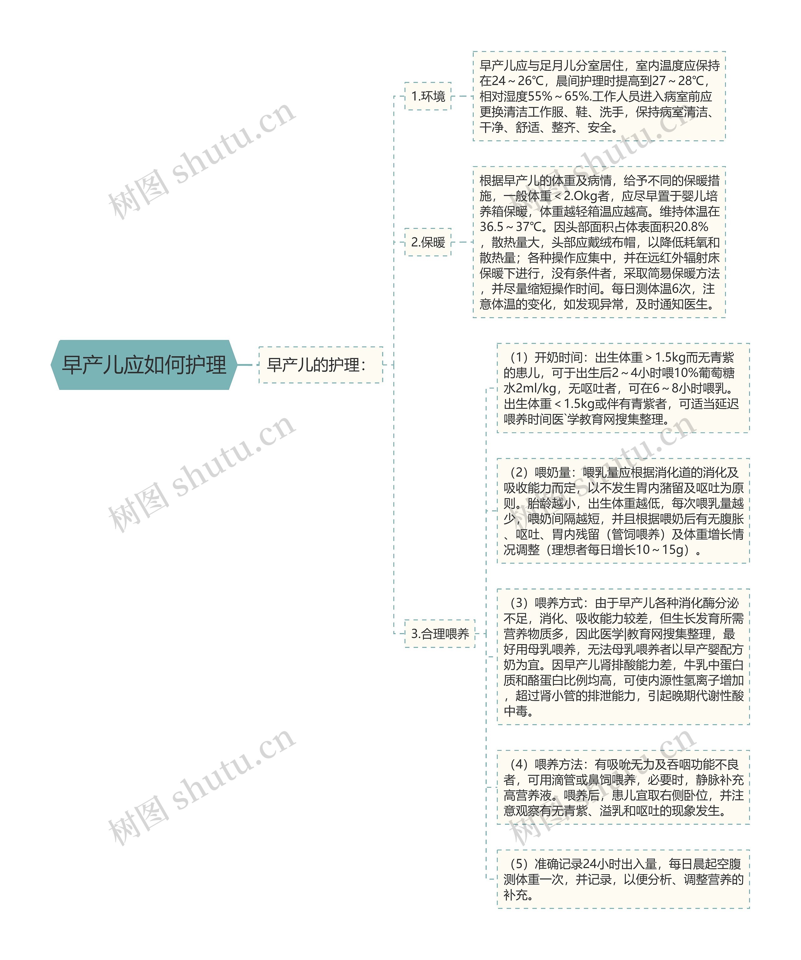 早产儿应如何护理思维导图