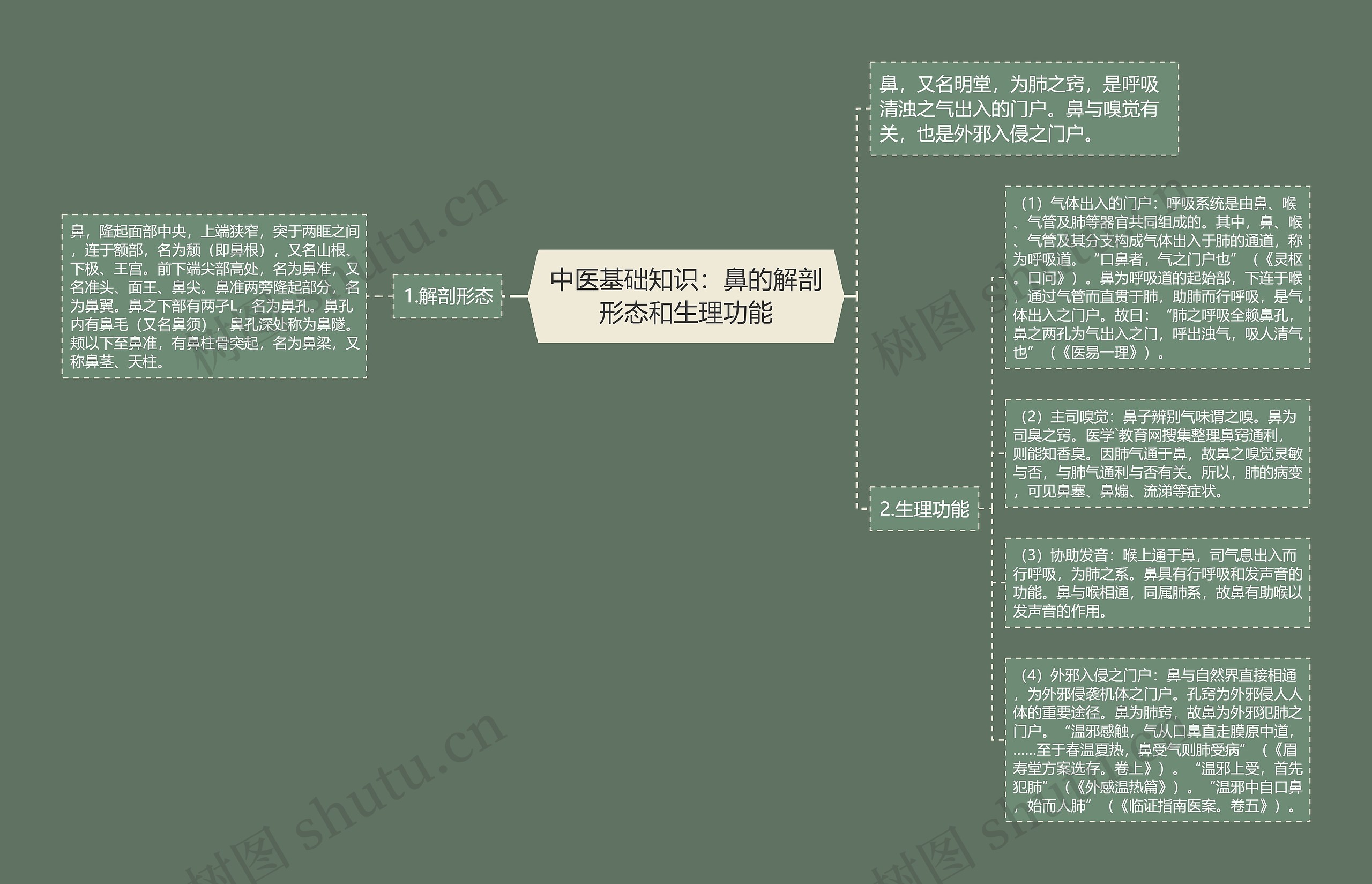 中医基础知识：鼻的解剖形态和生理功能