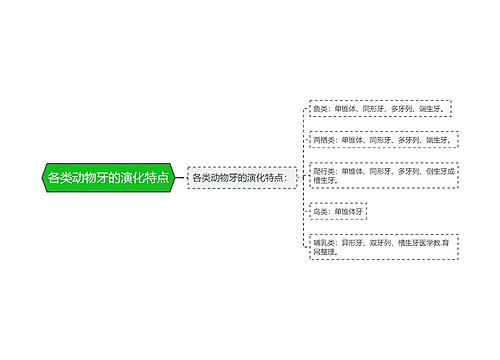 各类动物牙的演化特点