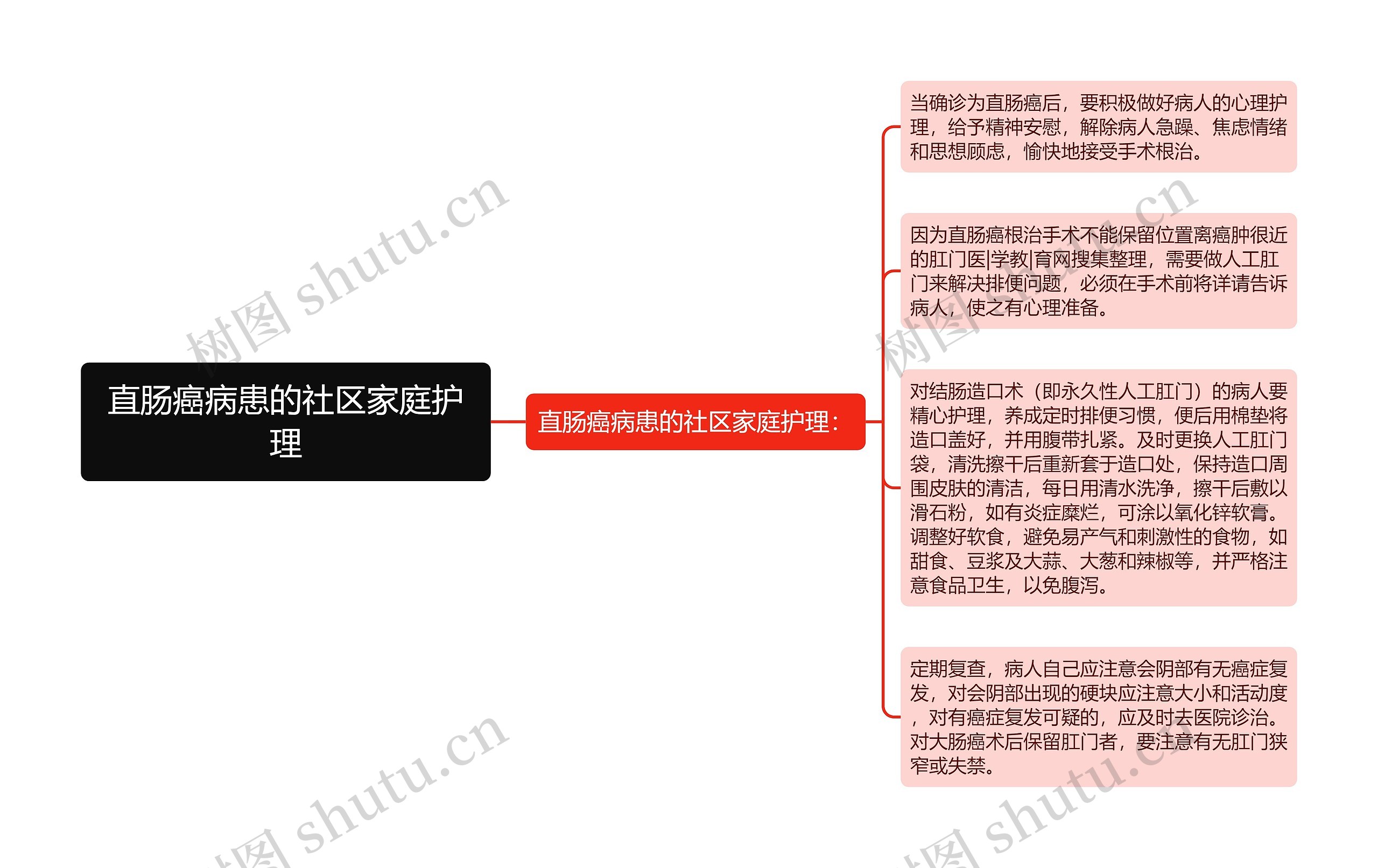 直肠癌病患的社区家庭护理思维导图