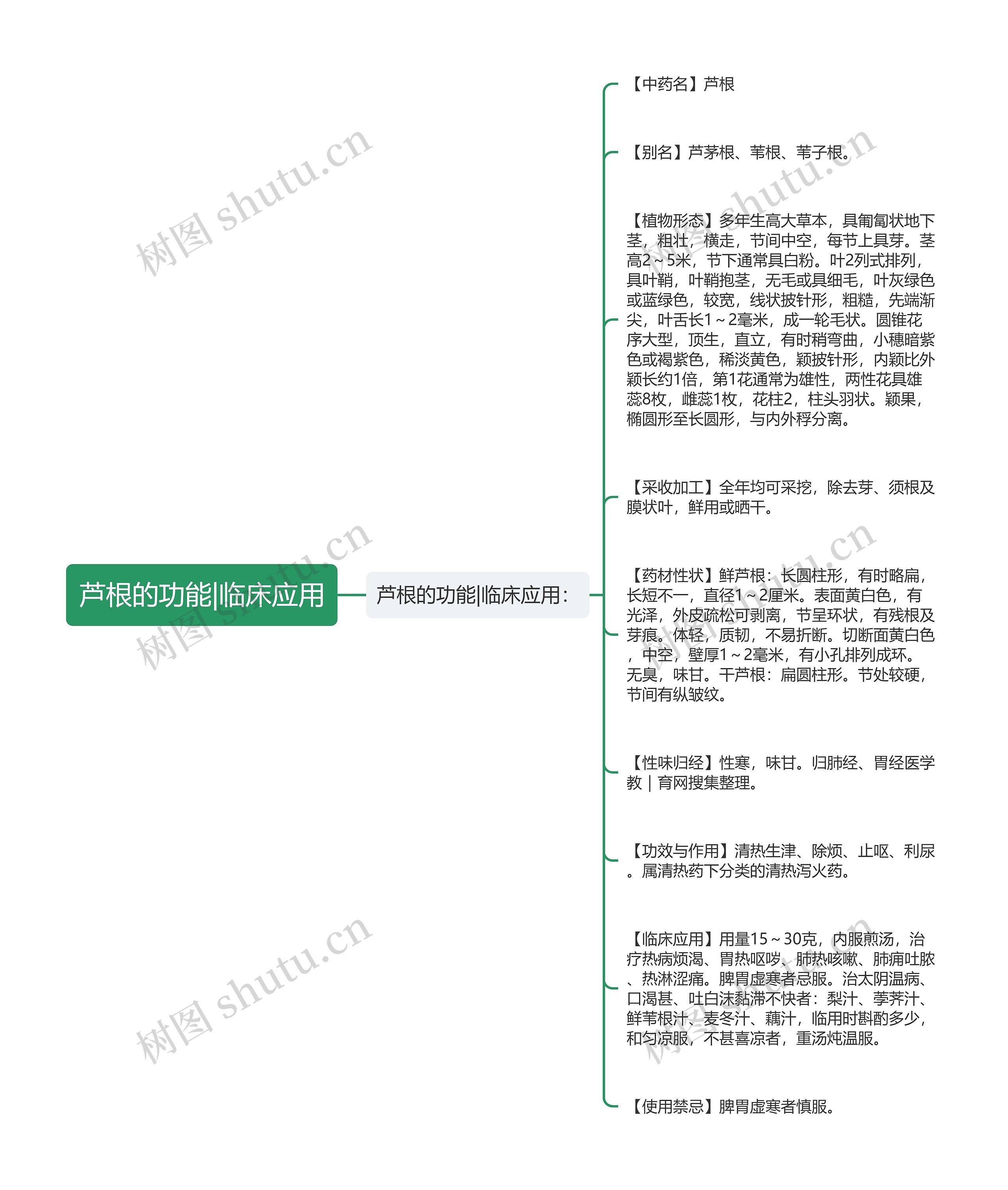 芦根的功能|临床应用思维导图