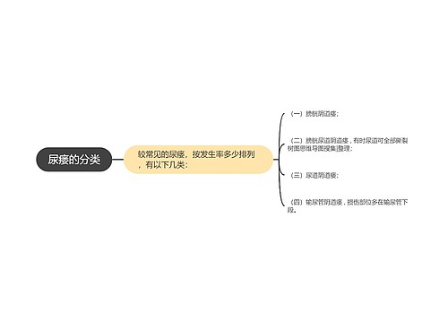 尿瘘的分类