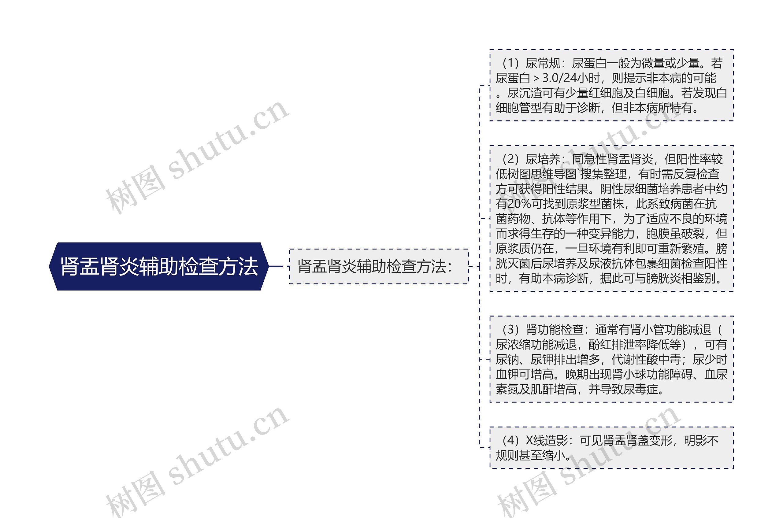 肾盂肾炎辅助检查方法思维导图