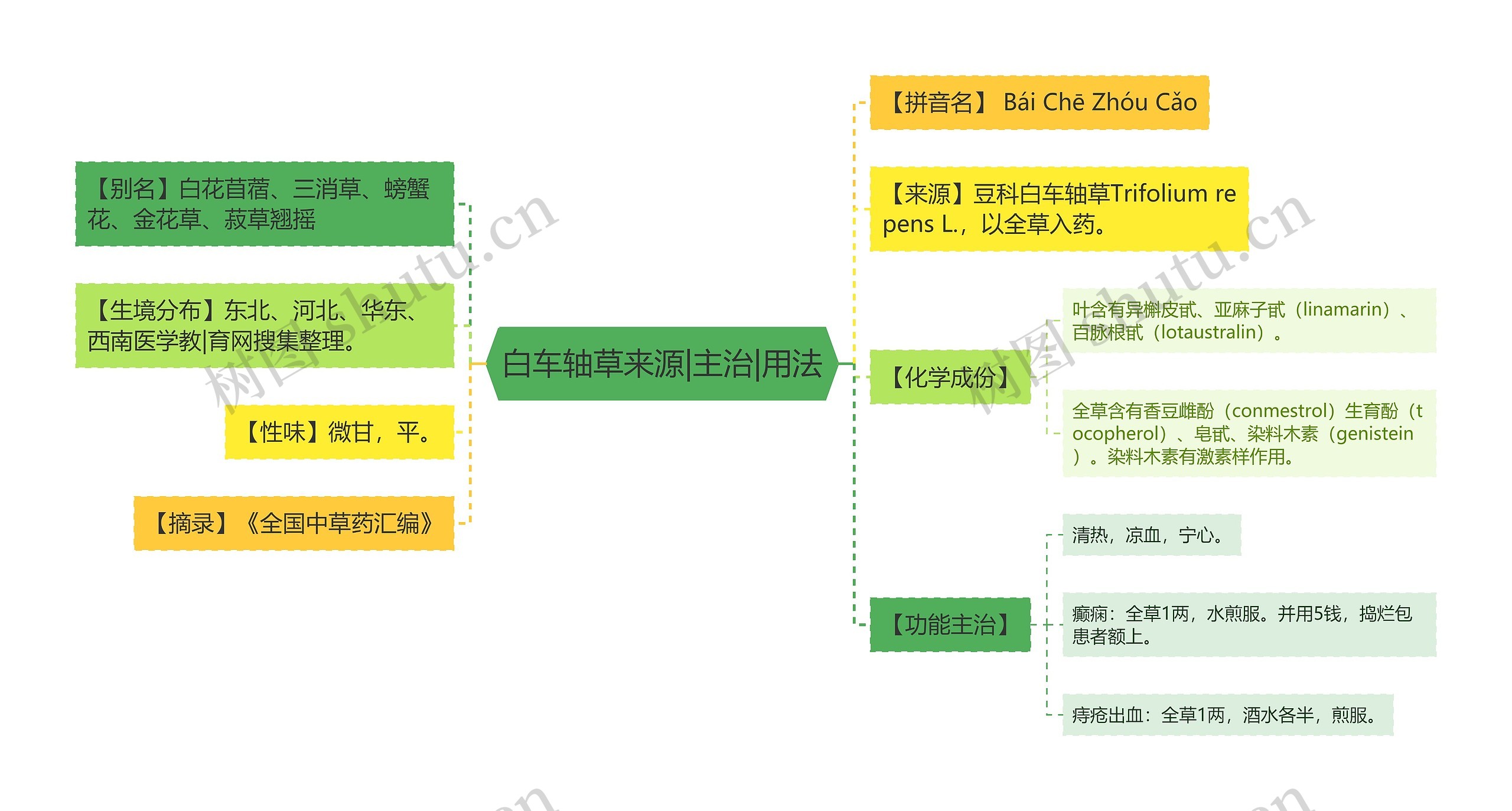 白车轴草来源|主治|用法思维导图