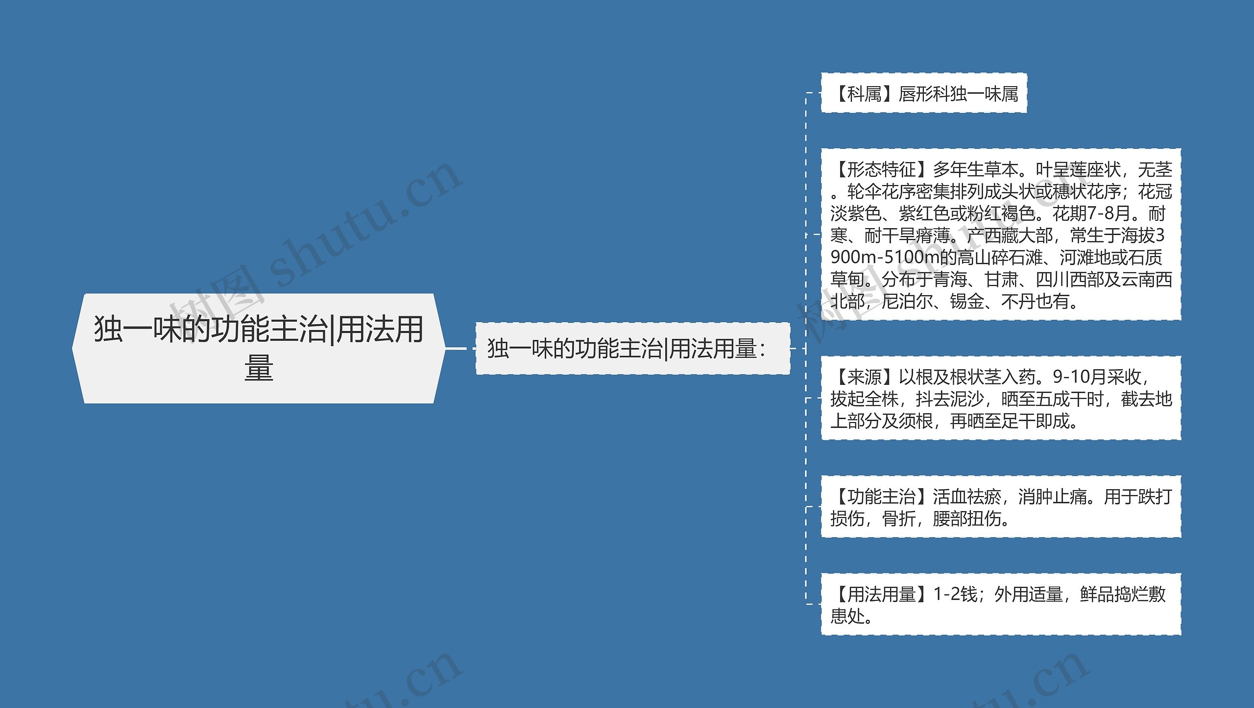 独一味的功能主治|用法用量思维导图