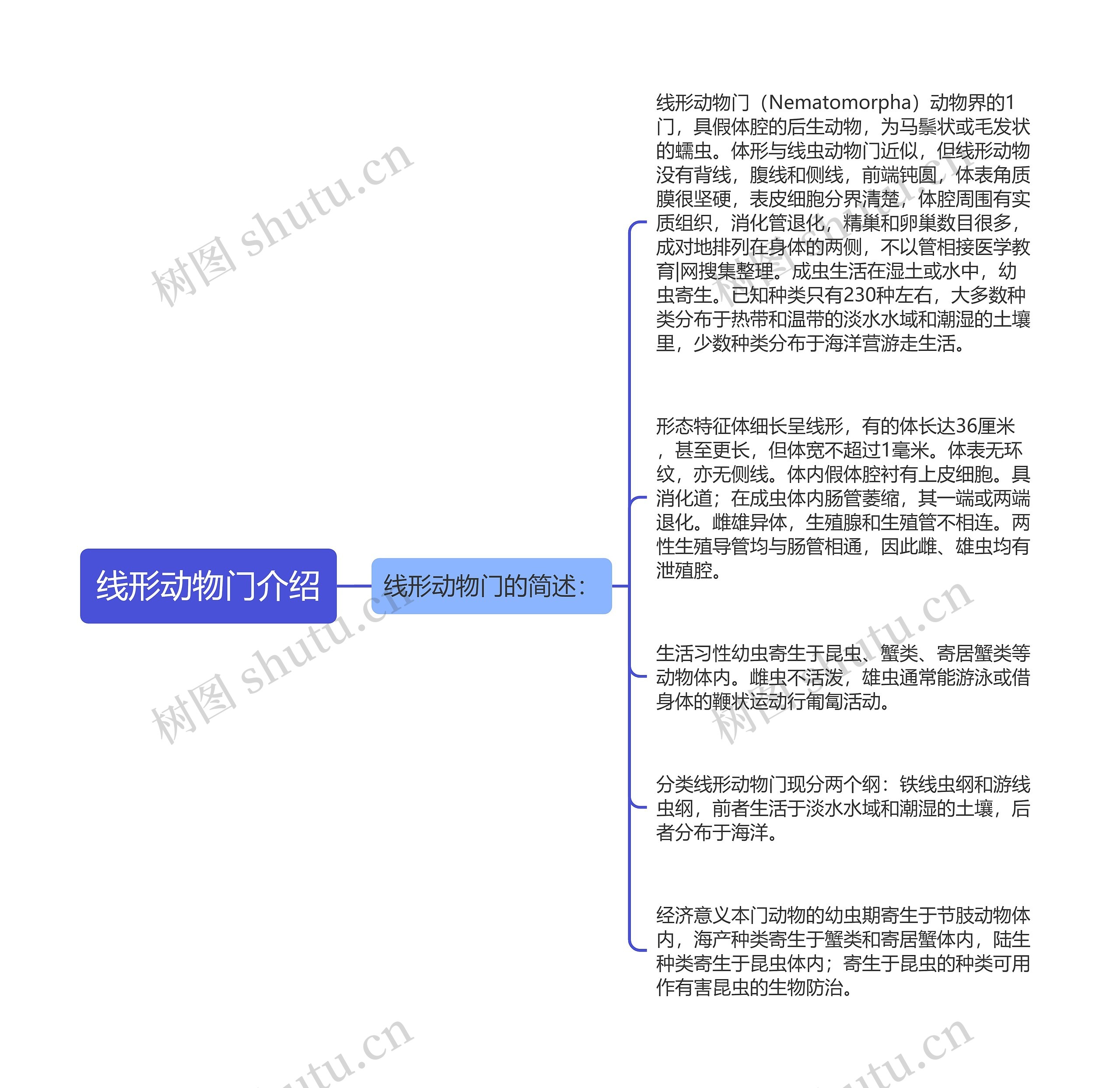 线形动物门介绍思维导图