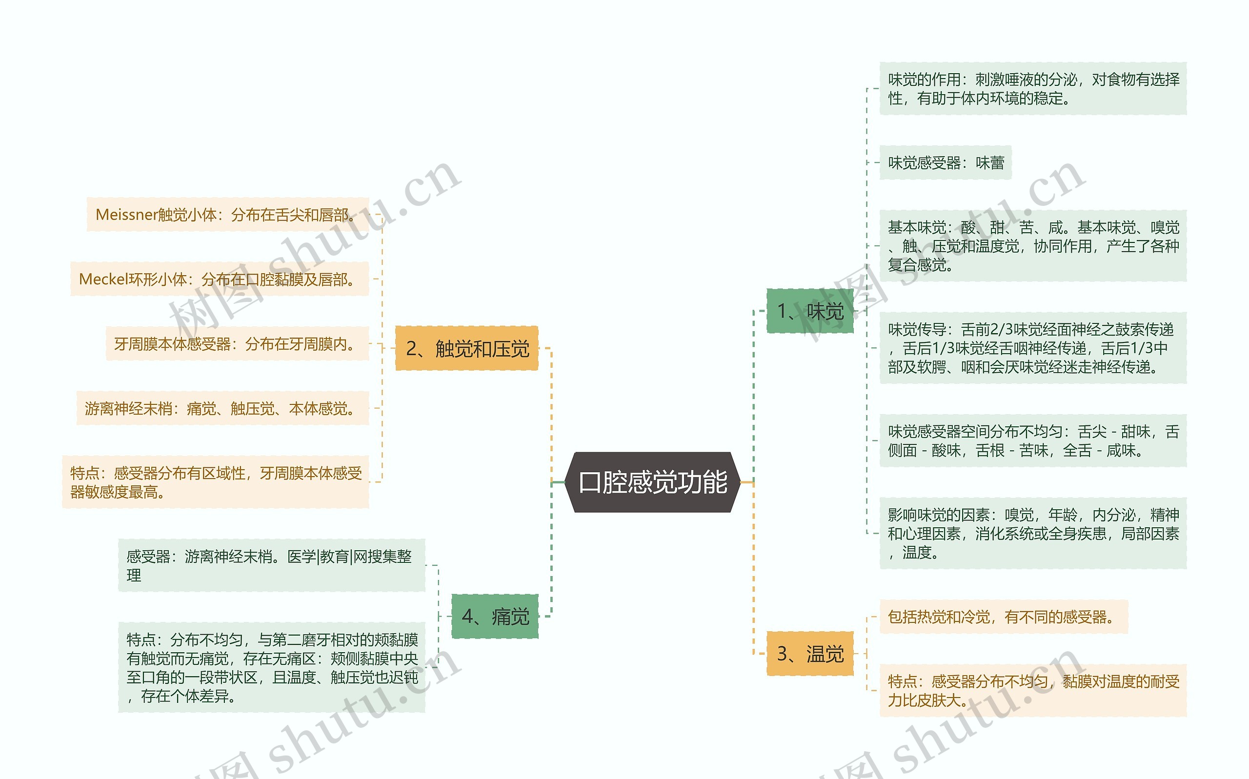 口腔感觉功能思维导图