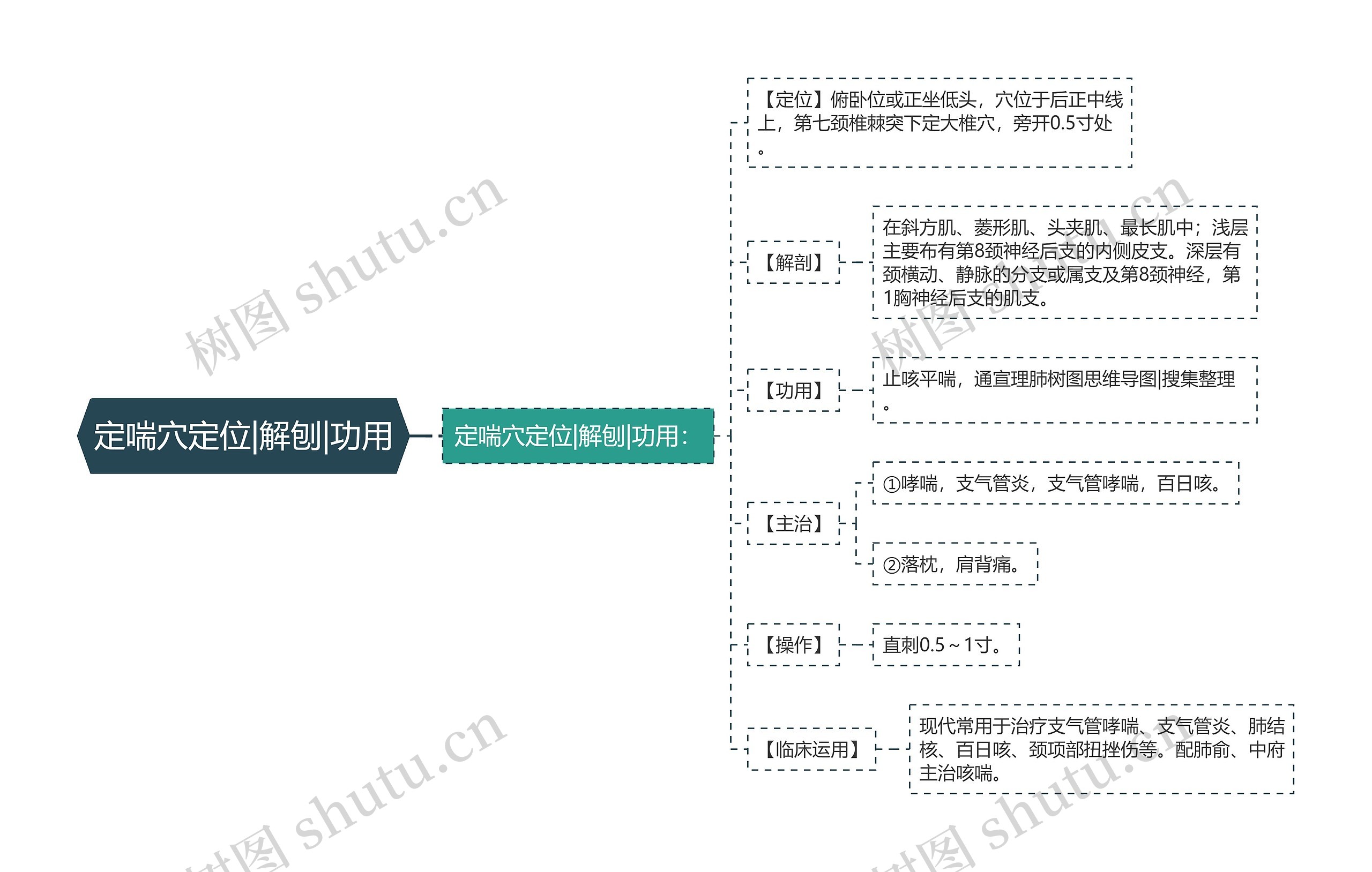 定喘穴定位|解刨|功用思维导图