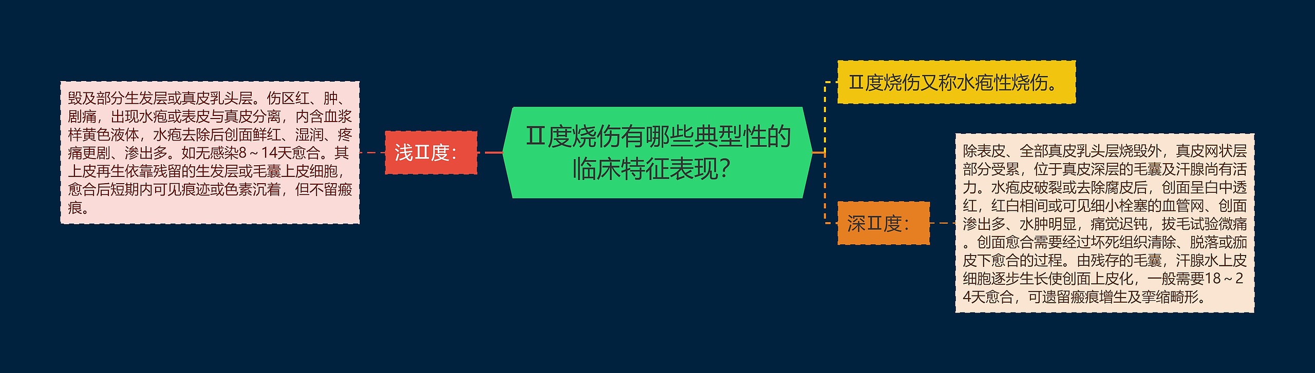 Ⅱ度烧伤有哪些典型性的临床特征表现？思维导图