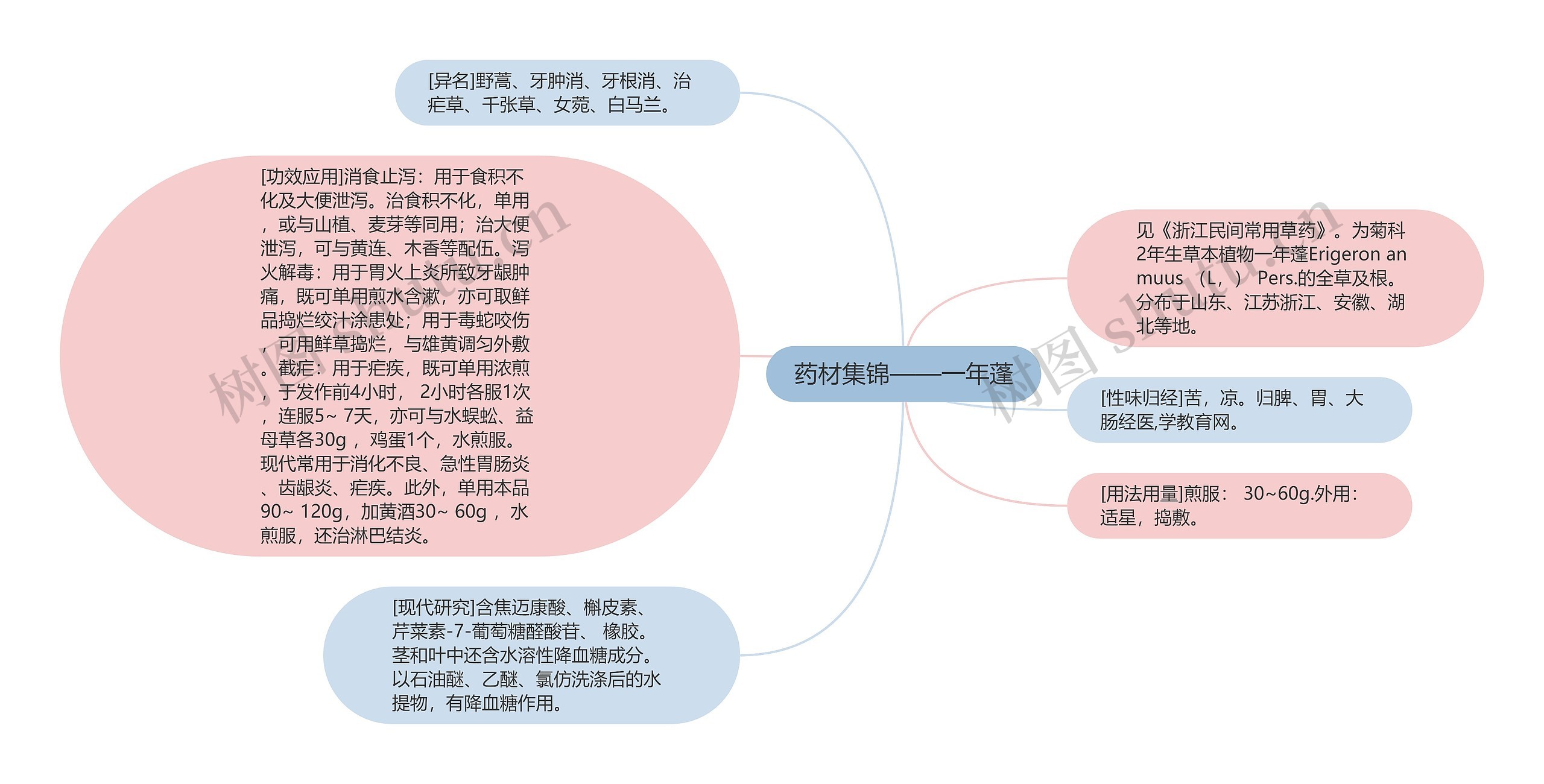 药材集锦——一年蓬思维导图