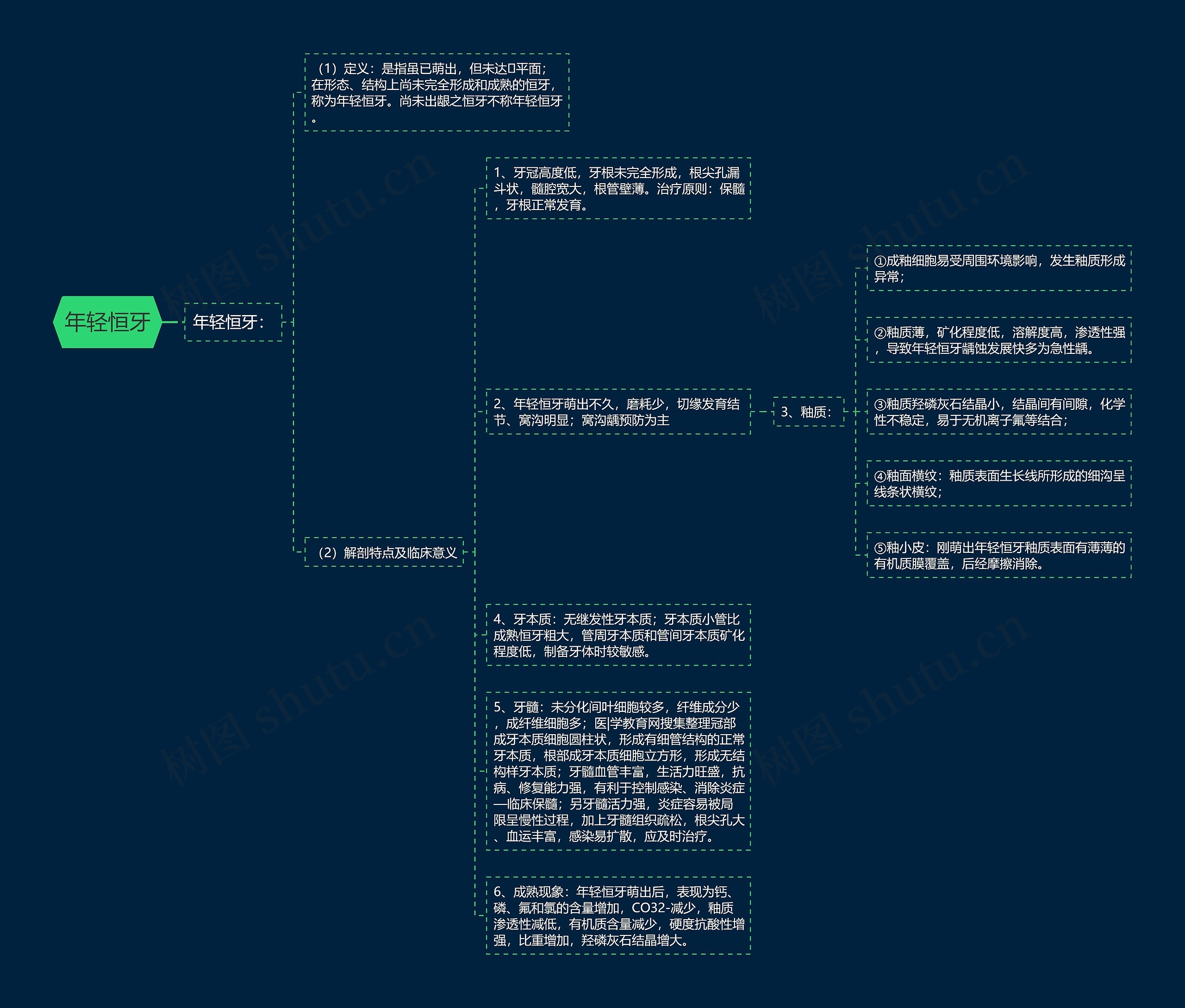 年轻恒牙思维导图