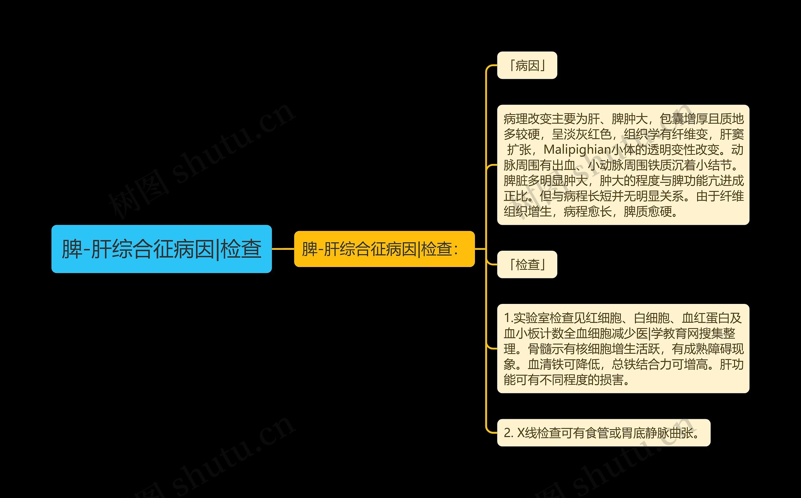 脾-肝综合征病因|检查 脾-肝综合征病因|检查