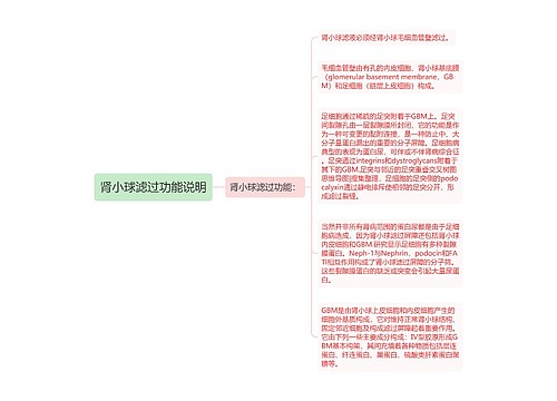 肾小球滤过功能说明