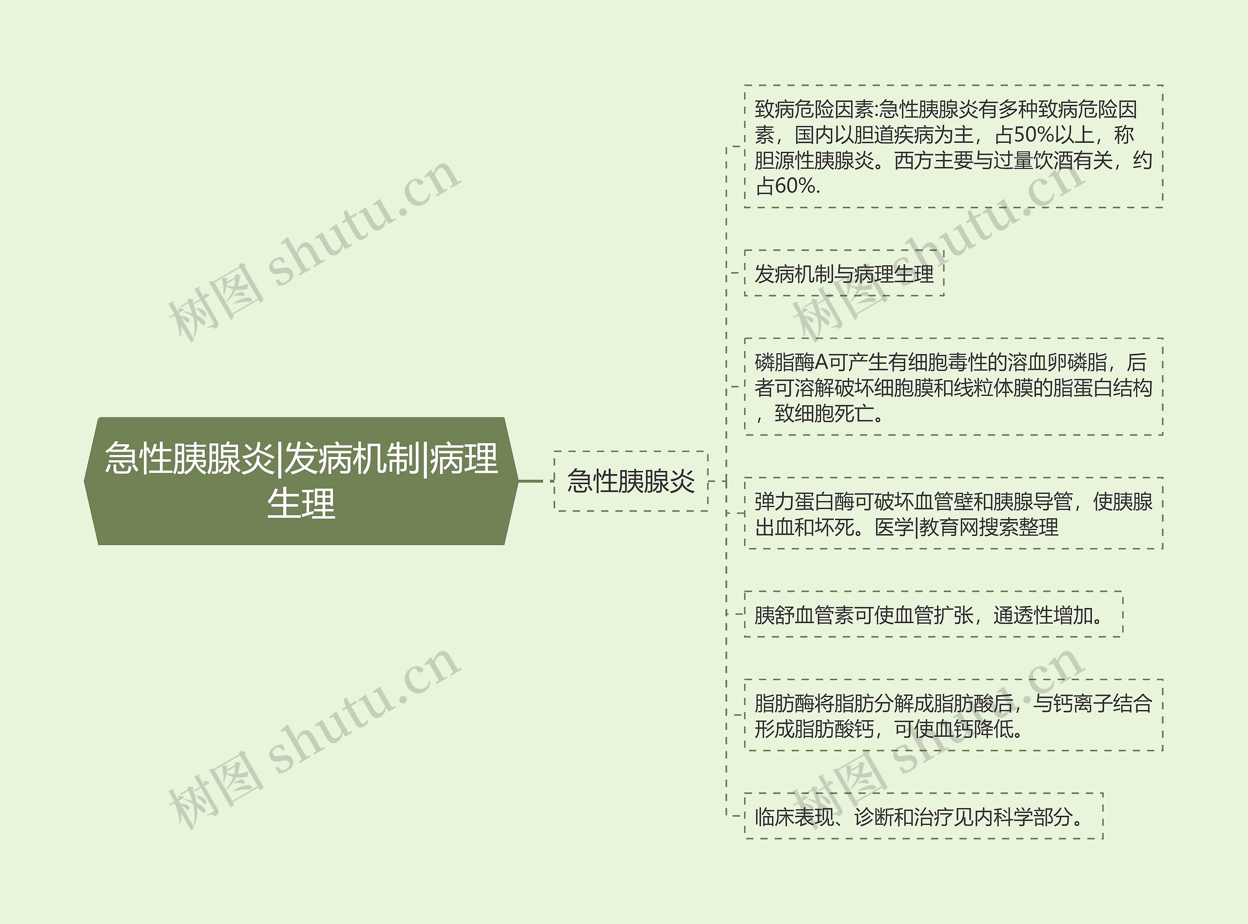 急性胰腺炎|发病机制|病理生理思维导图