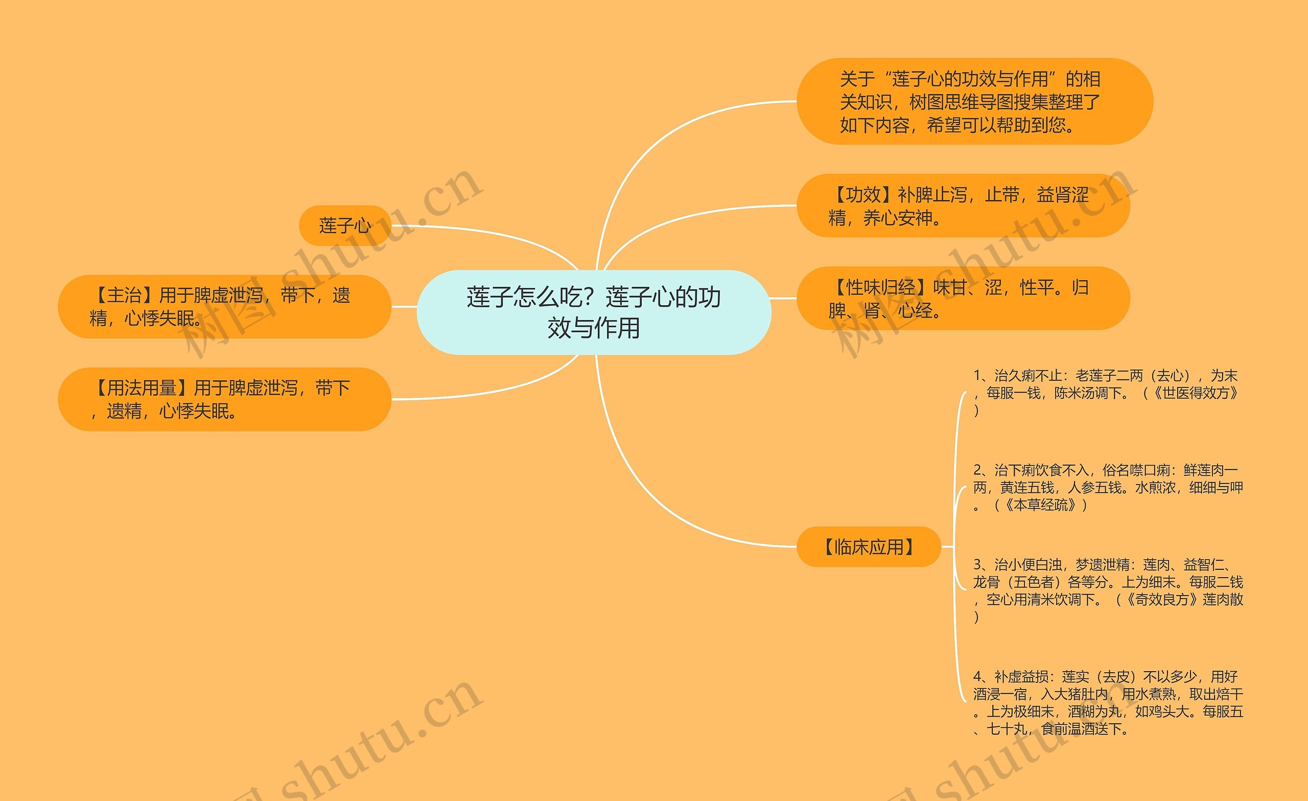 莲子怎么吃？莲子心的功效与作用思维导图